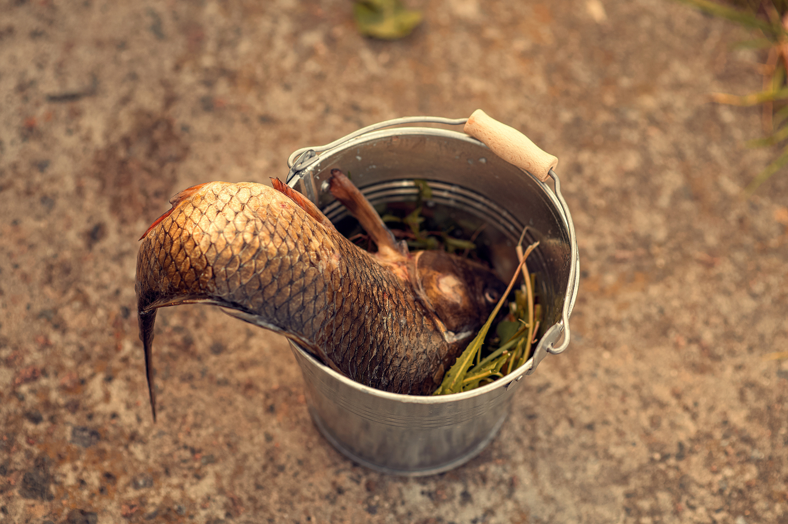 Рибалка. Дитячий та сімейний фотограф м.Бровари