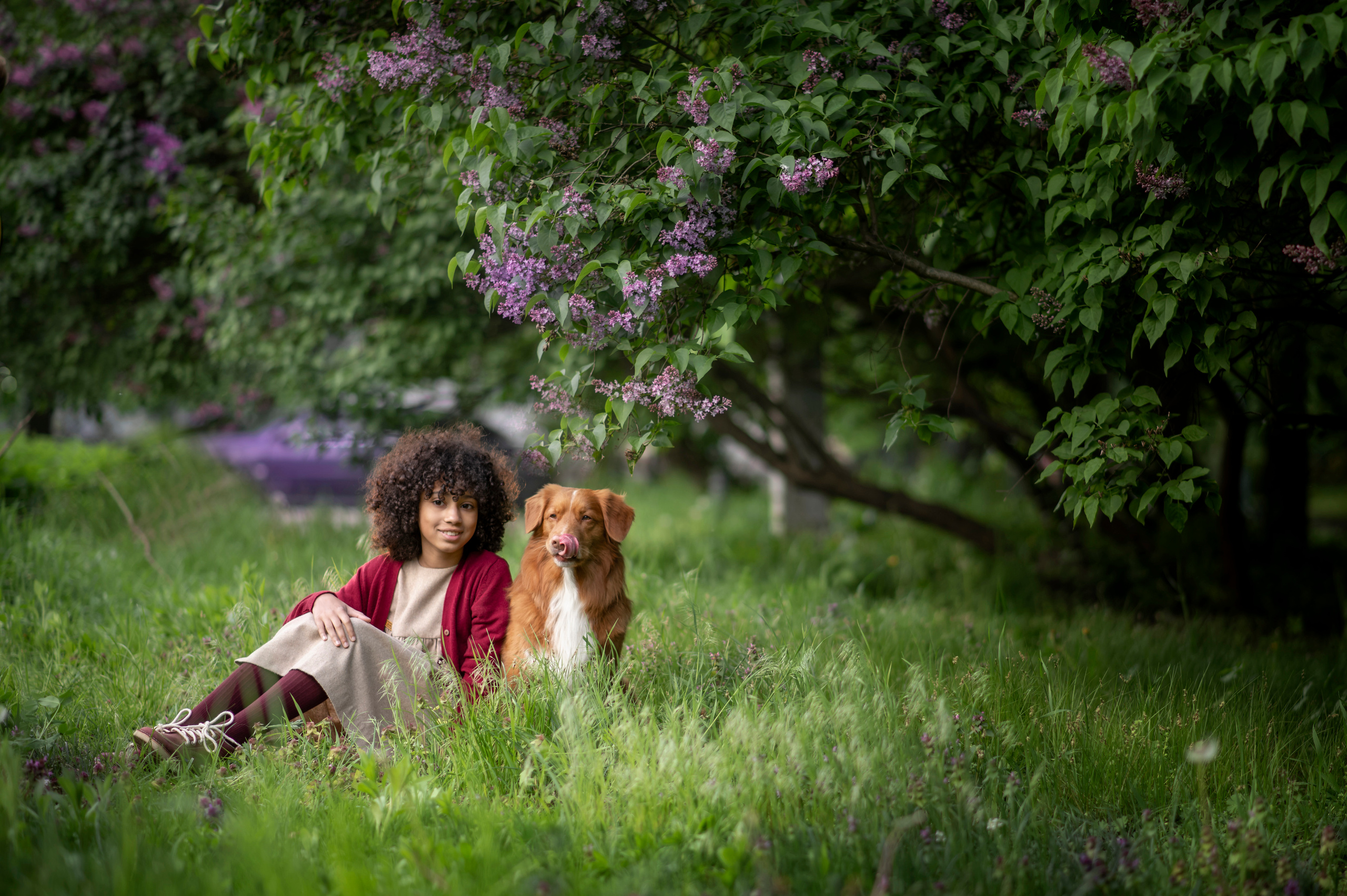 Яблуневі історії. Дитячий та сімейний фотограф м.Бровари