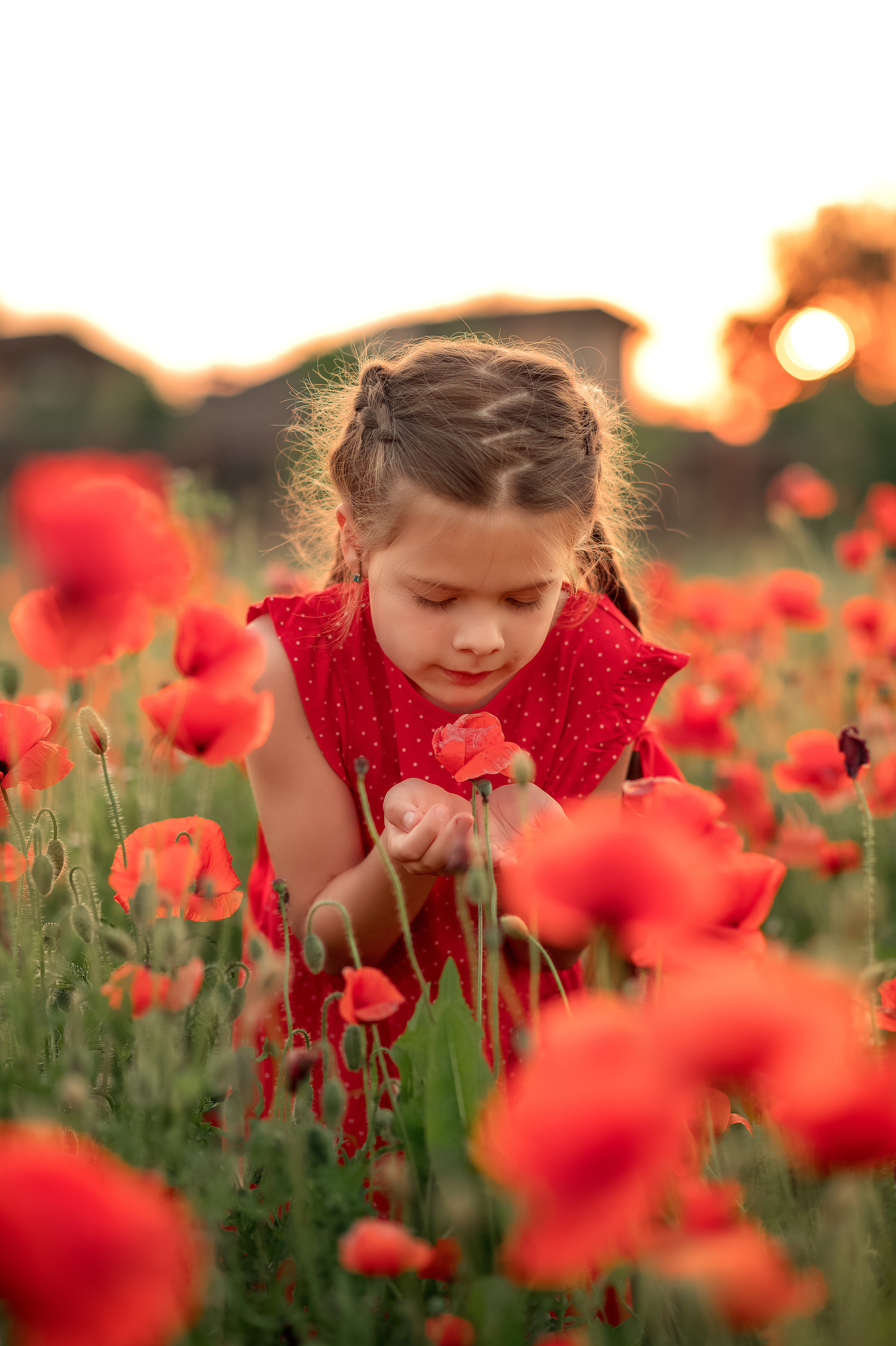 Маки. Дитячий та сімейний фотограф м.Бровари