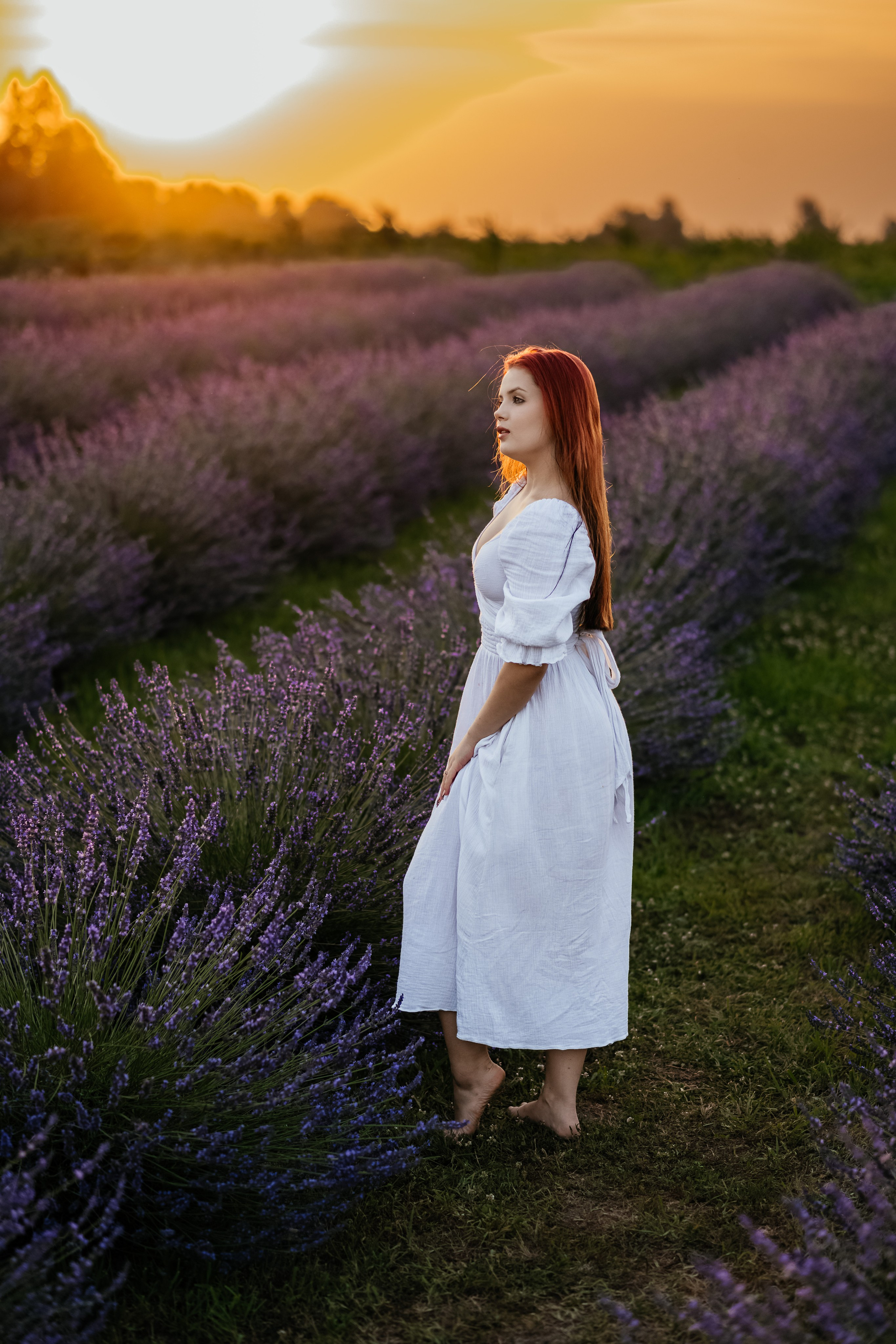 Лаванда 2024. Дитячий та сімейний фотограф м.Бровари