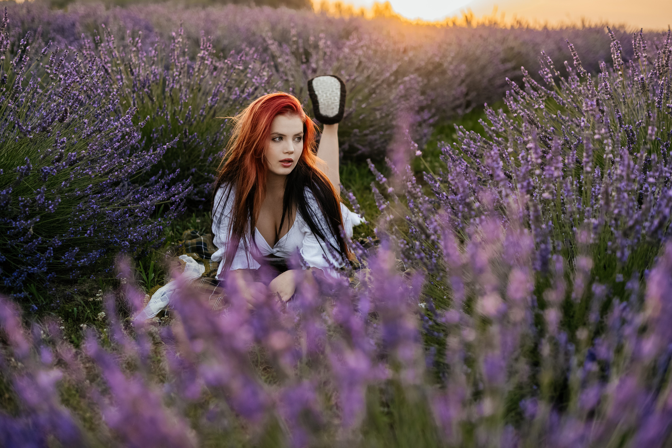 Лаванда 2024. Дитячий та сімейний фотограф м.Бровари