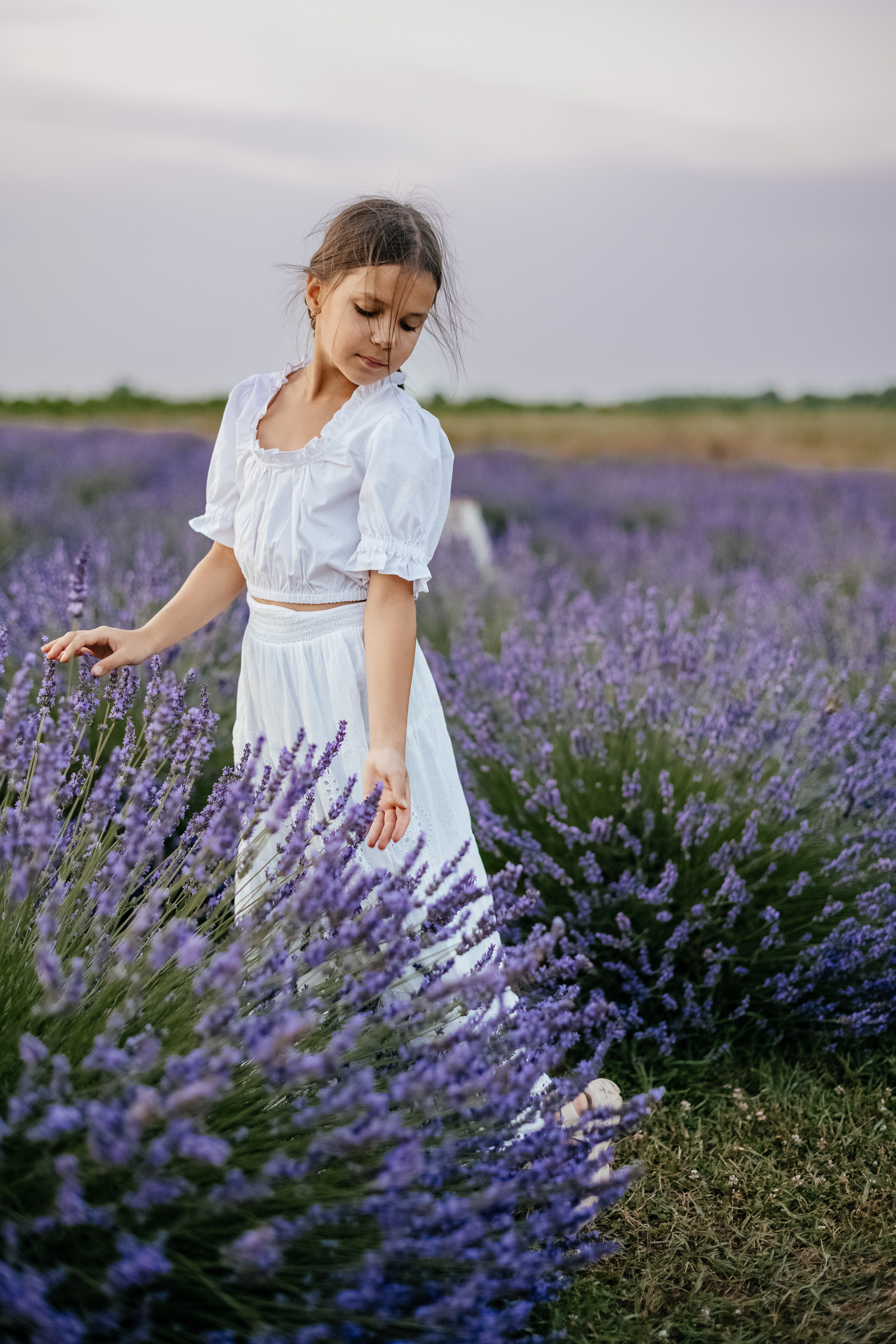 Лаванда 2024. Дитячий та сімейний фотограф м.Бровари