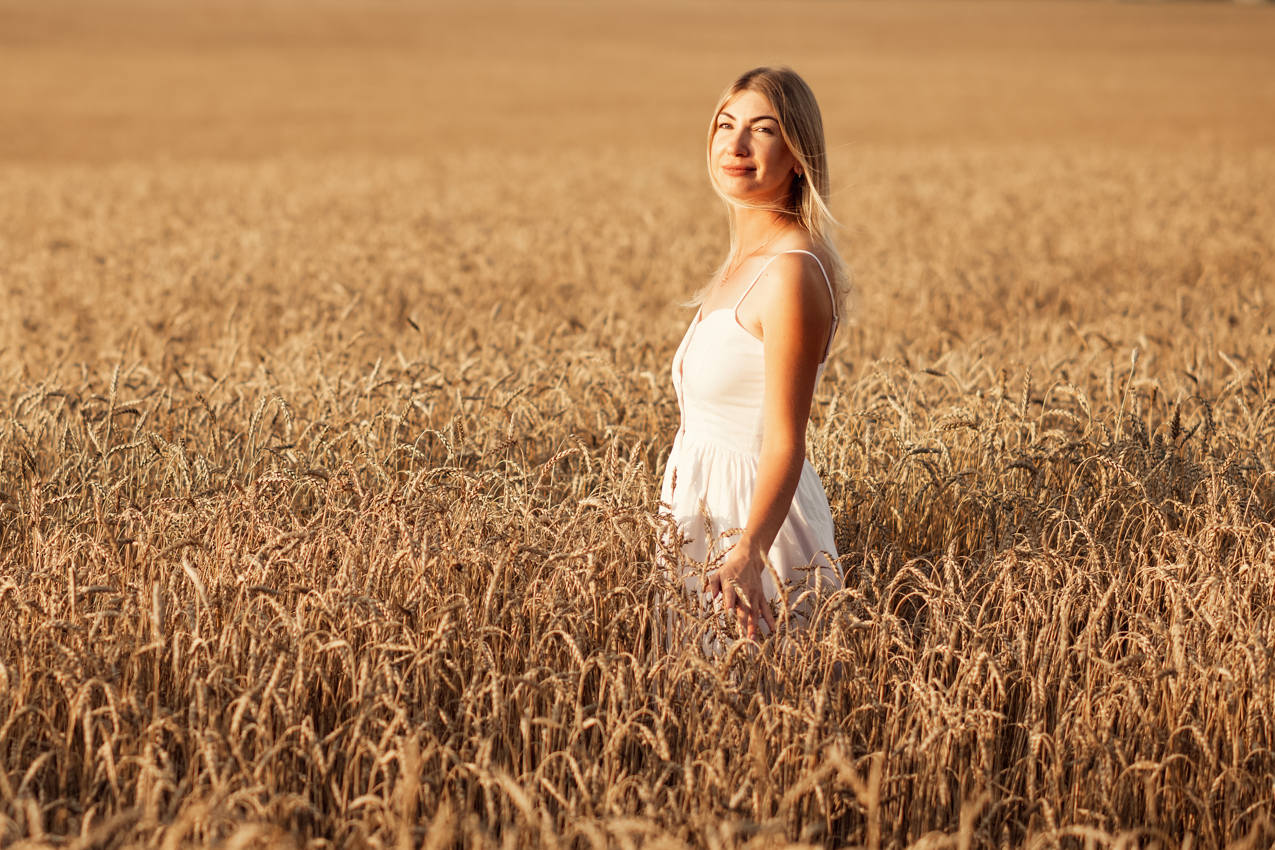 Wheat sunset. Дитячий та сімейний фотограф м.Бровари
