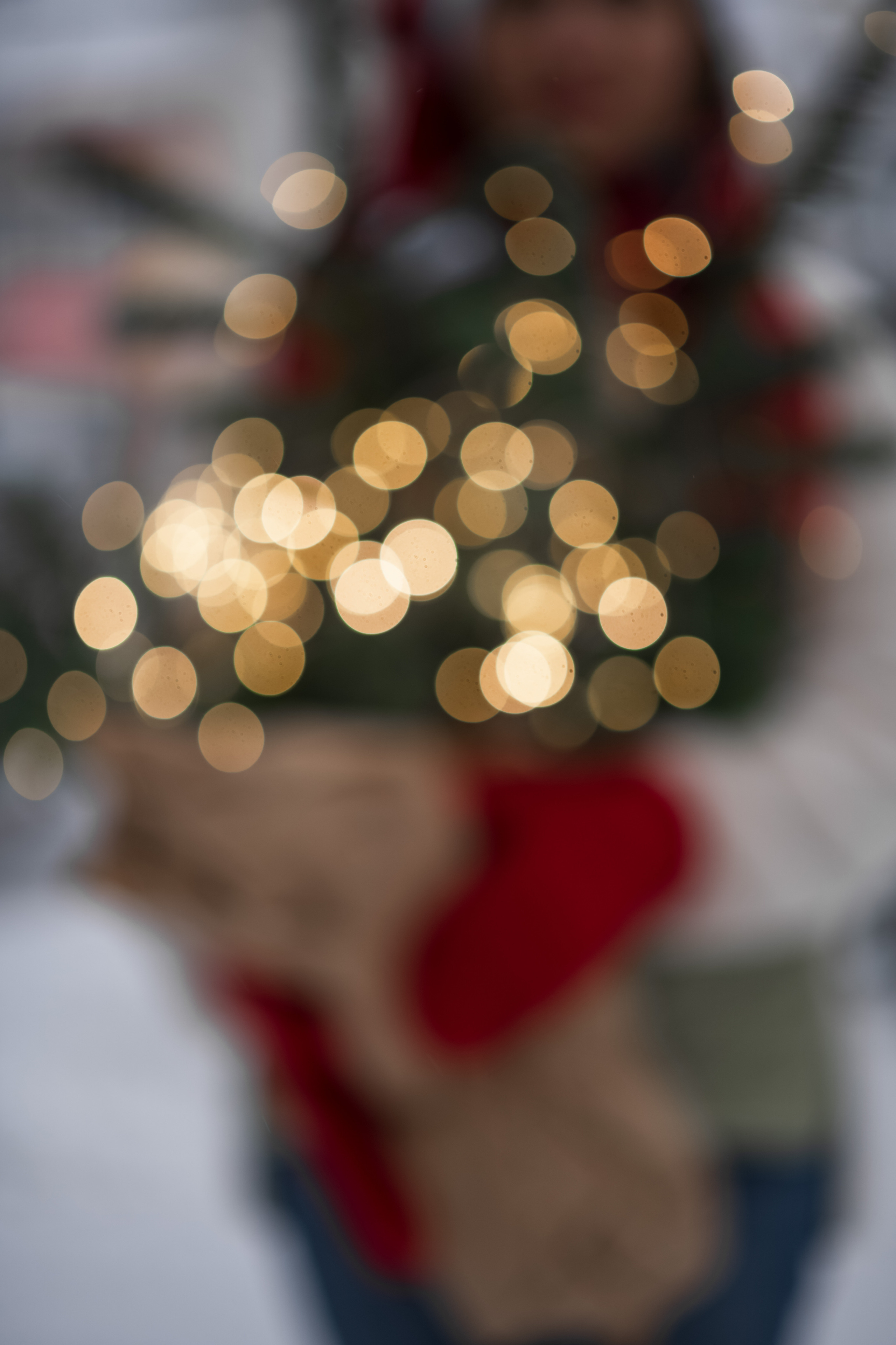 Зима 2022/2023. Дитячий та сімейний фотограф м.Бровари