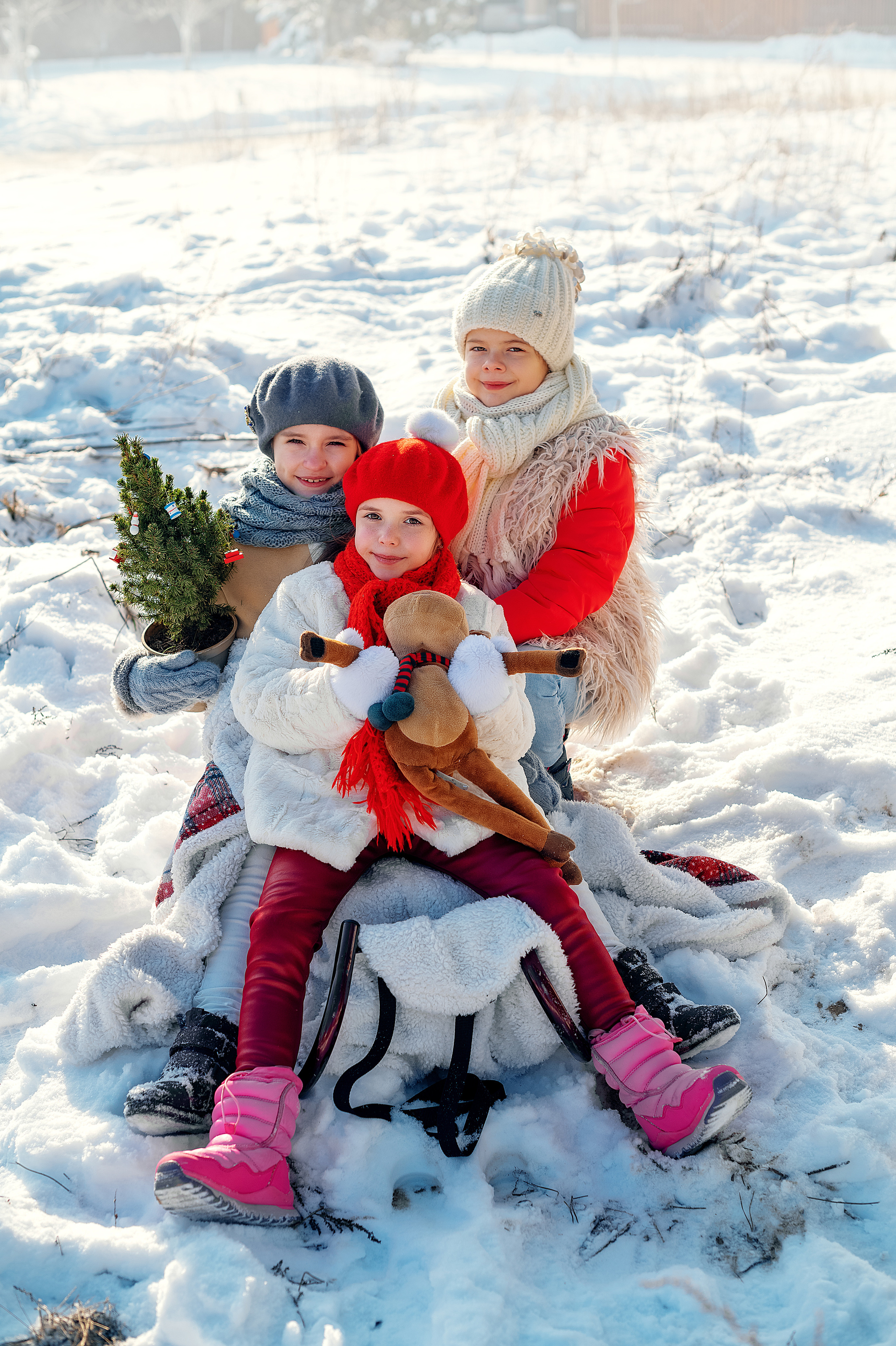Зима. Дитячий та сімейний фотограф м.Бровари