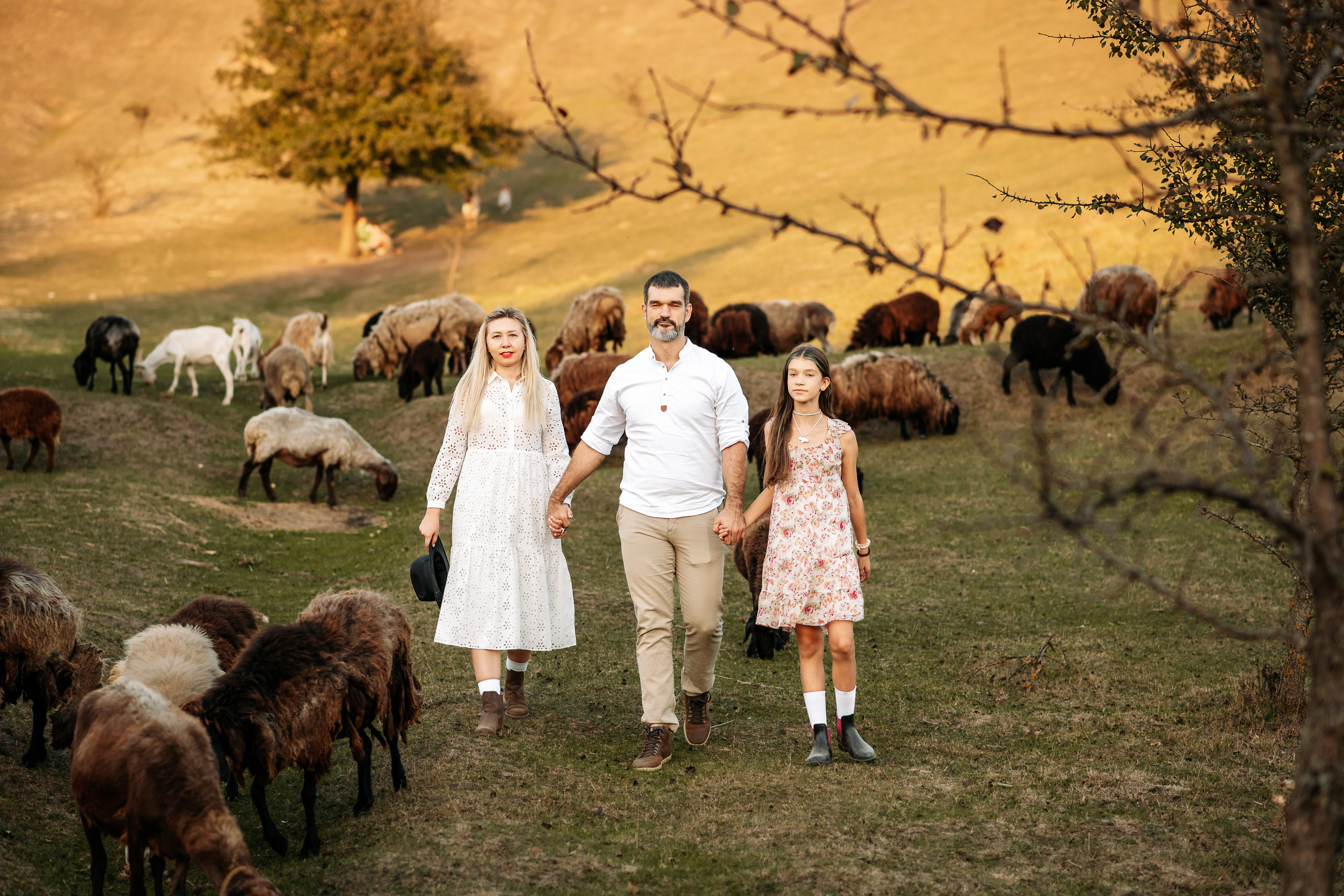 Sheepland. Дитячий та сімейний фотограф м.Бровари