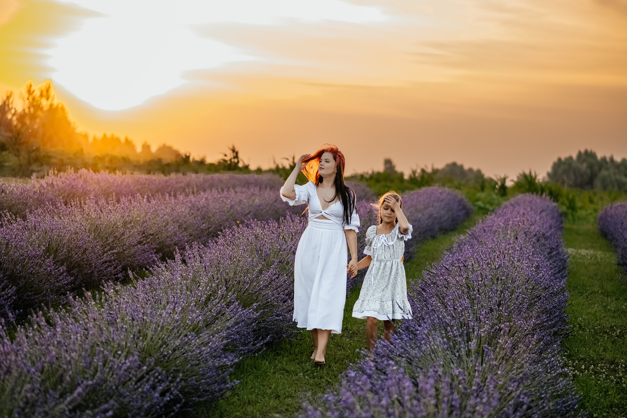 Лаванда 2024. Дитячий та сімейний фотограф м.Бровари