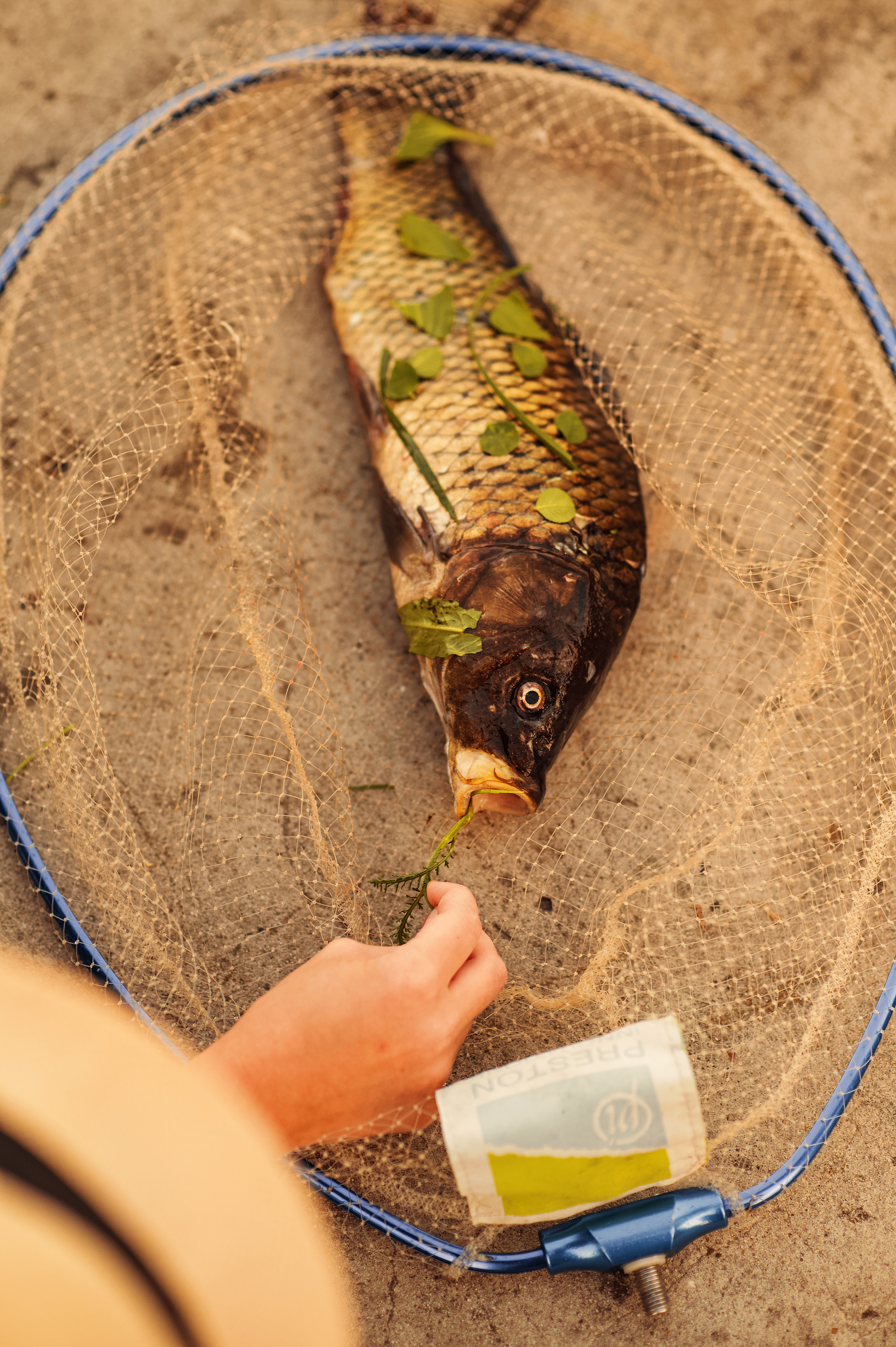 Рибалка. Дитячий та сімейний фотограф м.Бровари