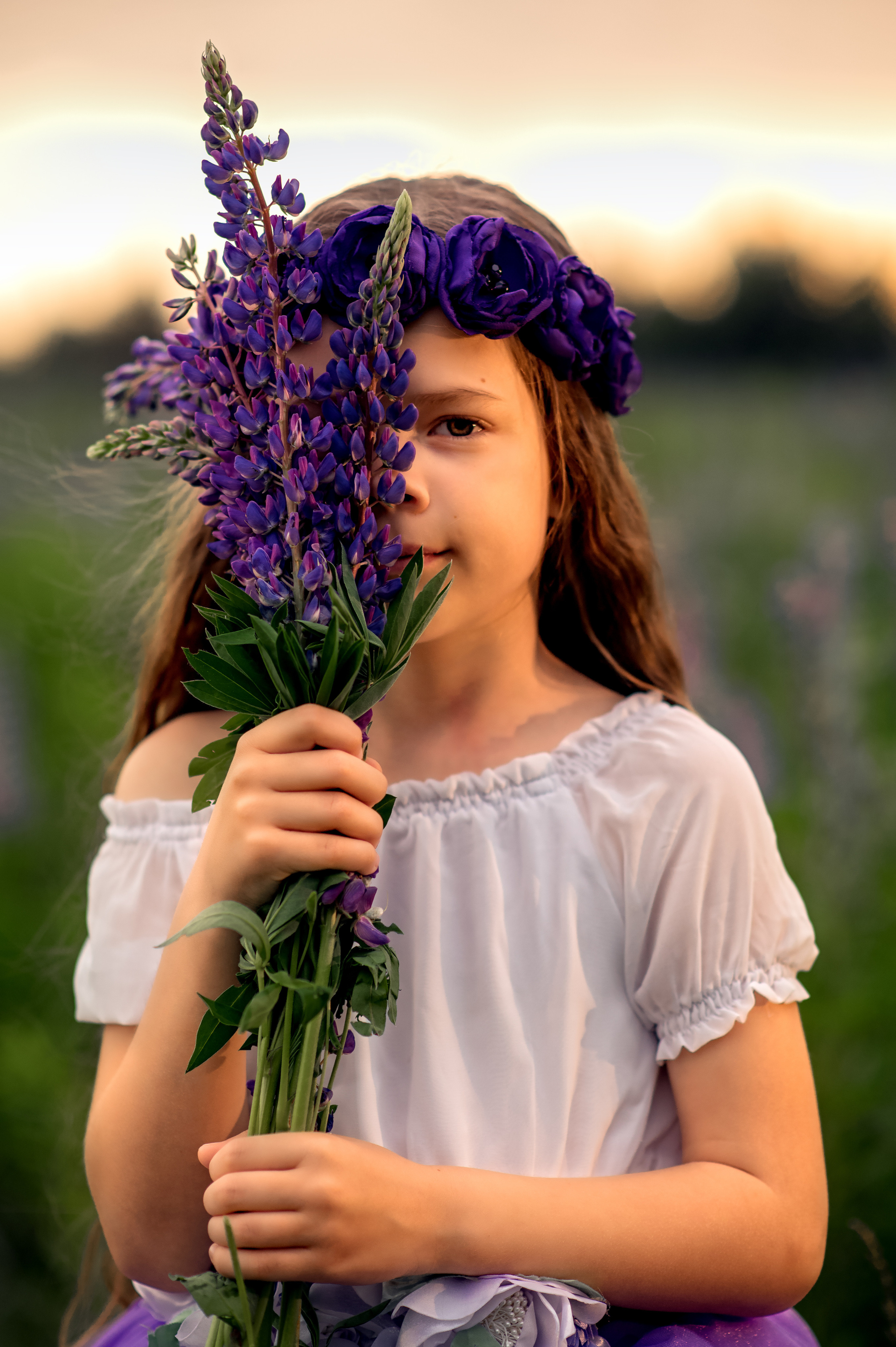 Люпини. Дитячий та сімейний фотограф м.Бровари