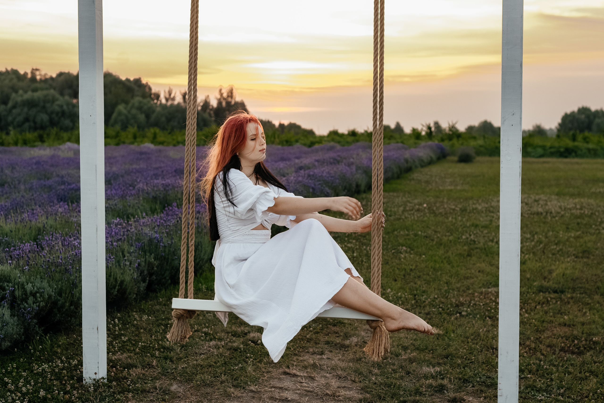 Лаванда 2024. Дитячий та сімейний фотограф м.Бровари