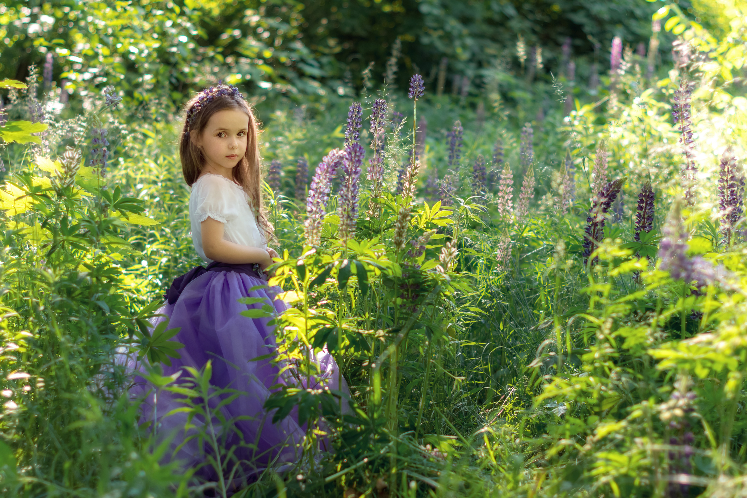 Люпини. Дитячий та сімейний фотограф м.Бровари