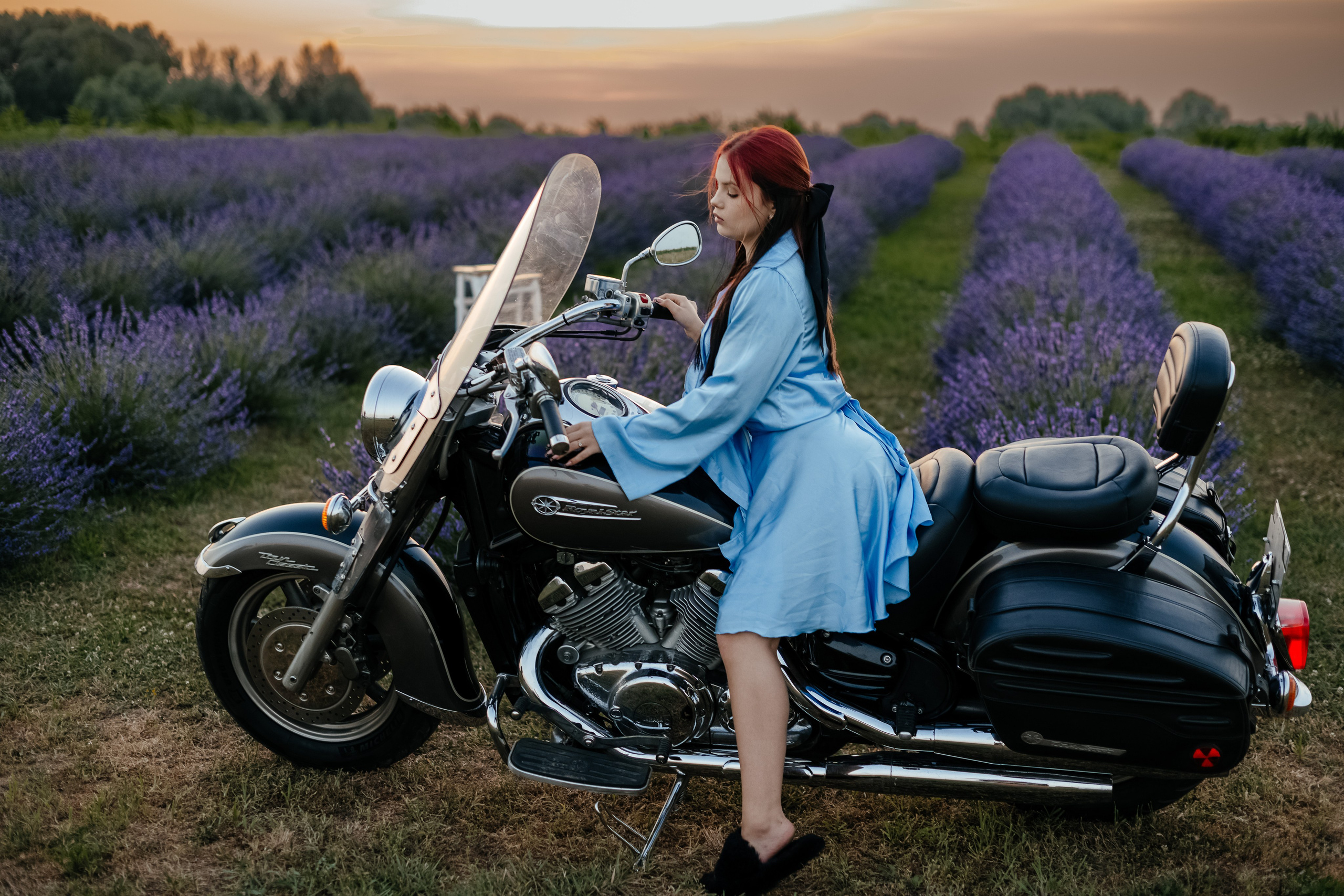 Лаванда 2024. Дитячий та сімейний фотограф м.Бровари