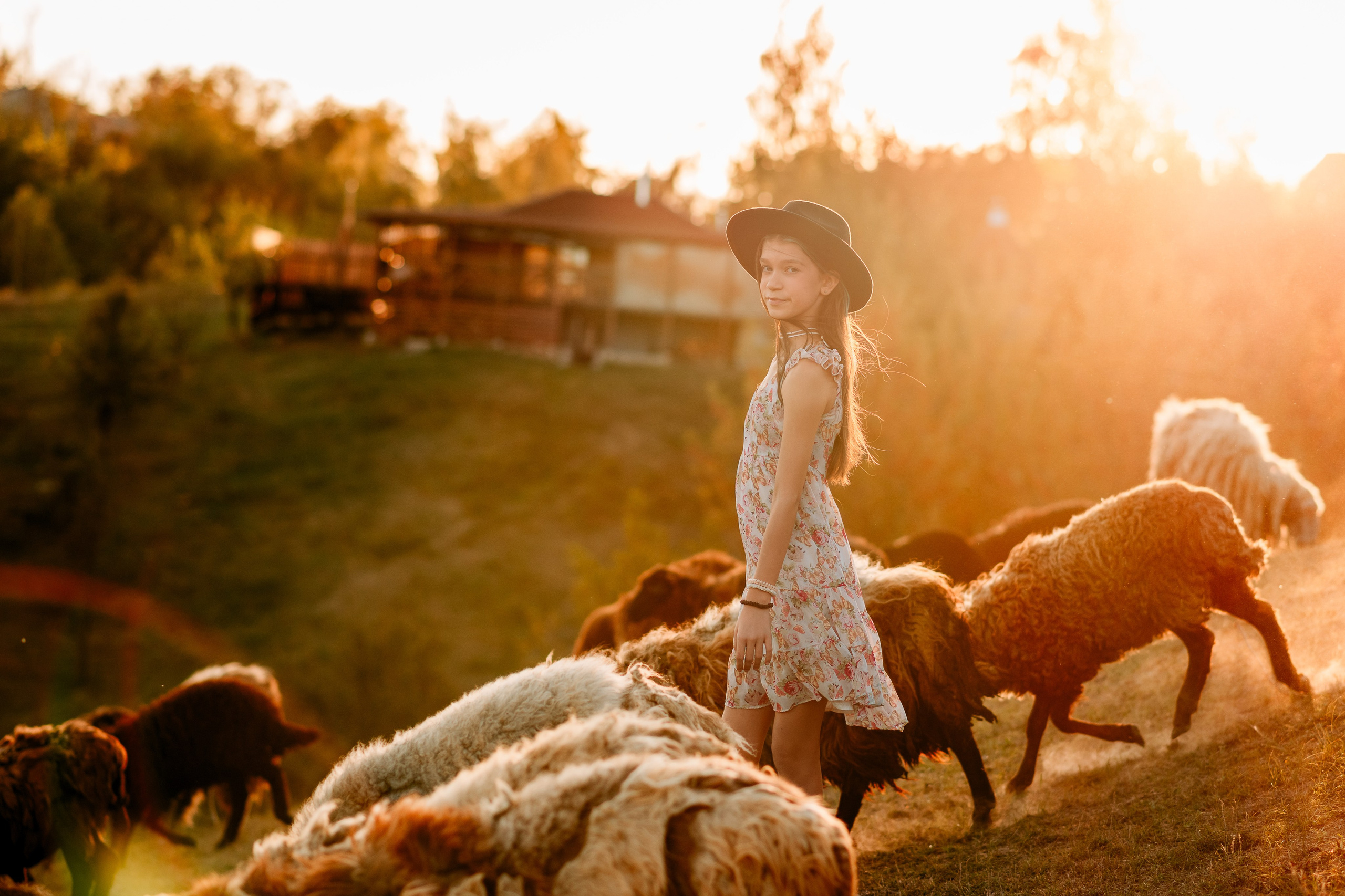 Sheepland. Дитячий та сімейний фотограф м.Бровари