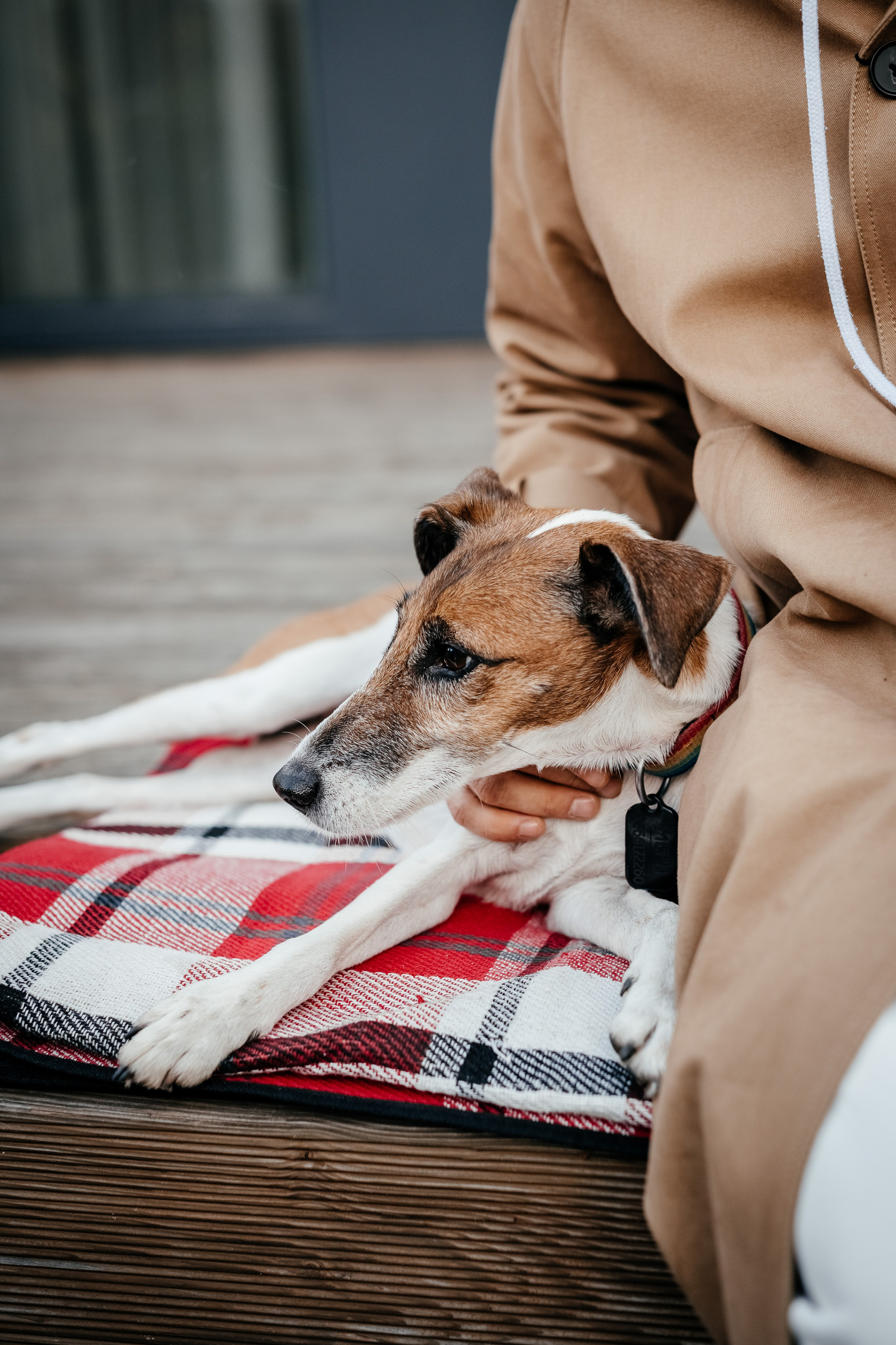 Анна+Олександр+Тимофій. Дитячий та сімейний фотограф м.Бровари