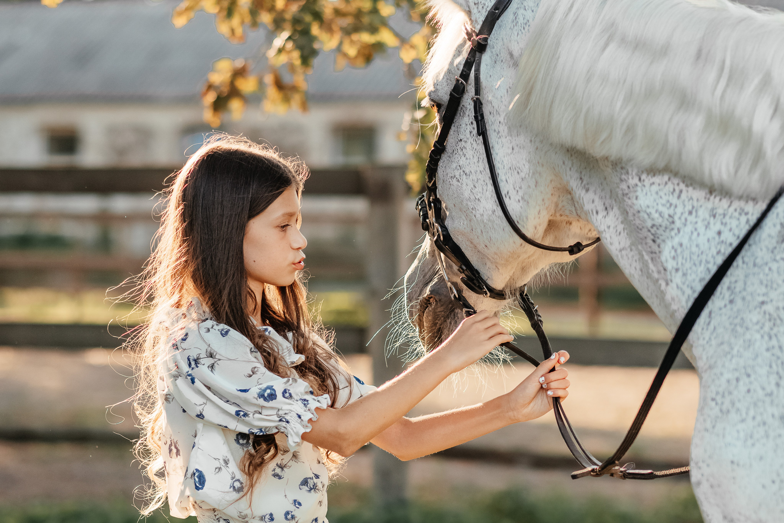 Гармонія з природою: зйомка на конюшні. Дитячий та сімейний фотограф м.Бровари