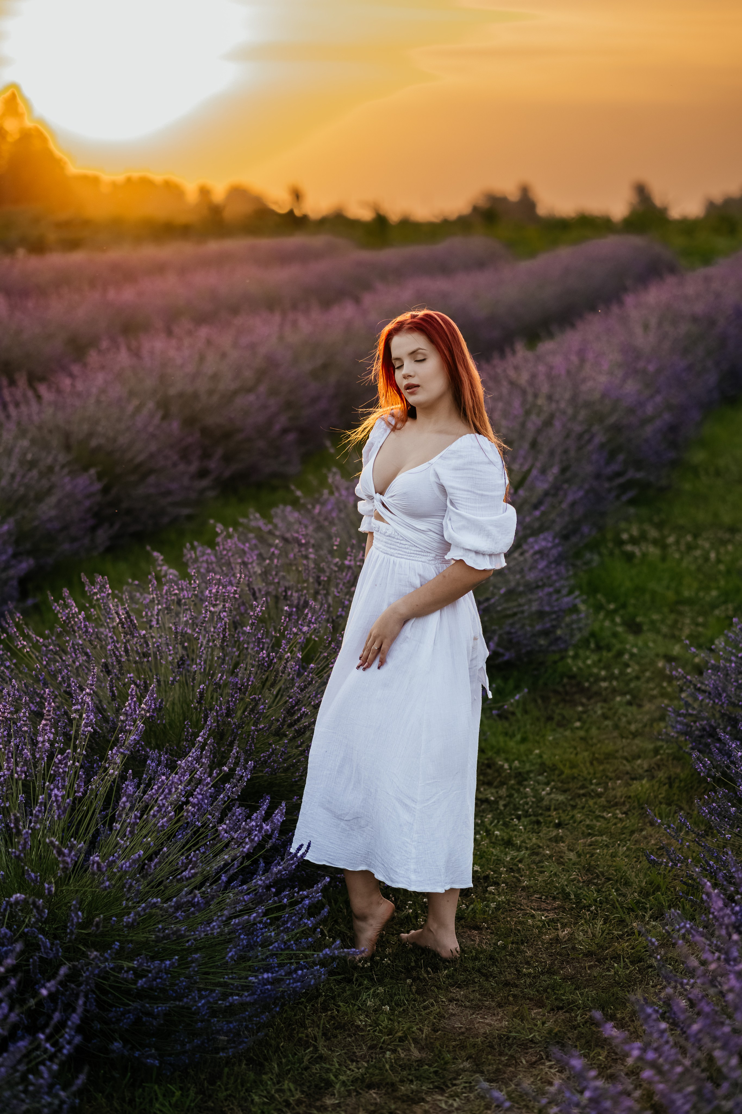 Лаванда 2024. Дитячий та сімейний фотограф м.Бровари