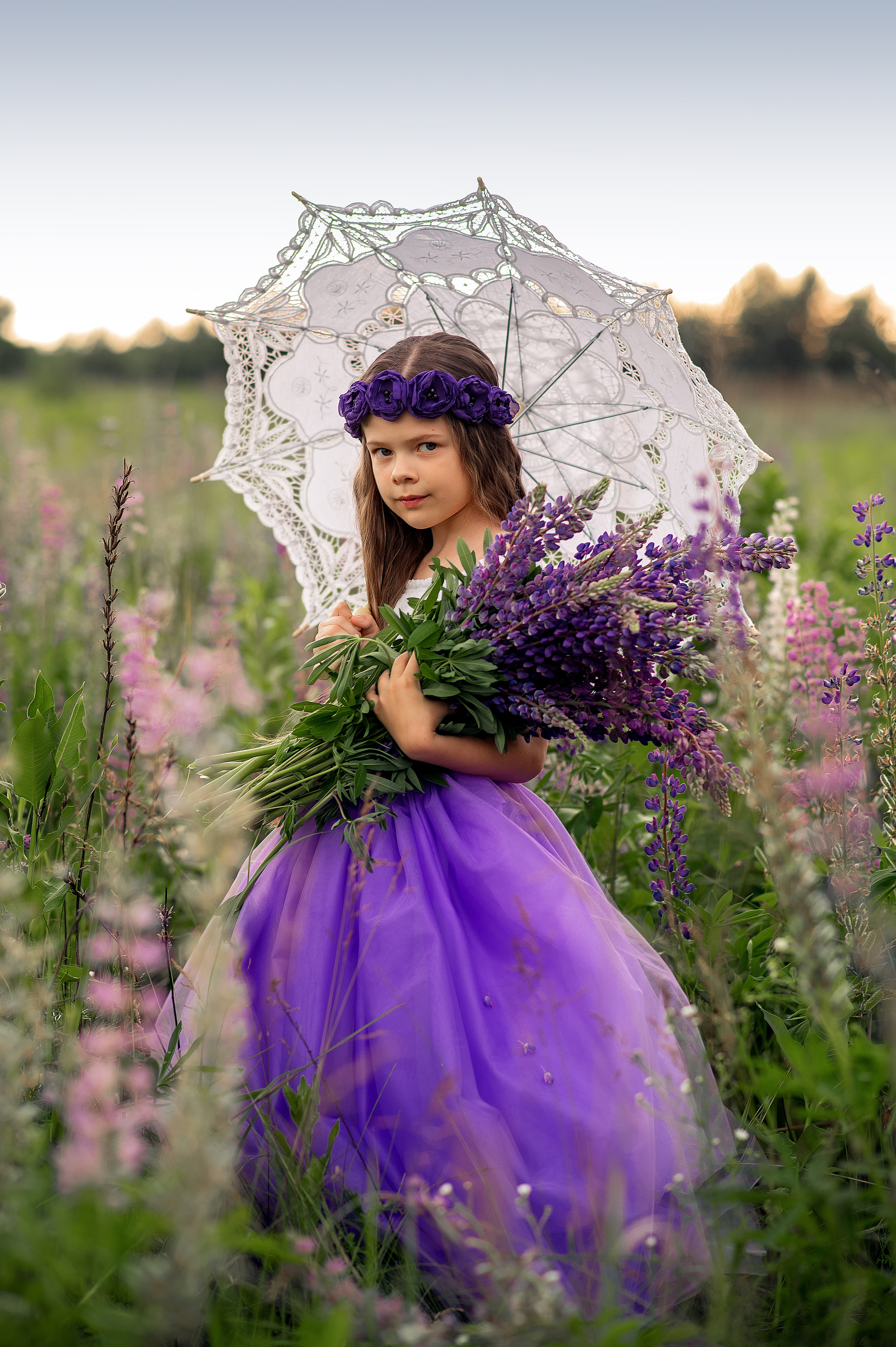 Люпини. Дитячий та сімейний фотограф м.Бровари