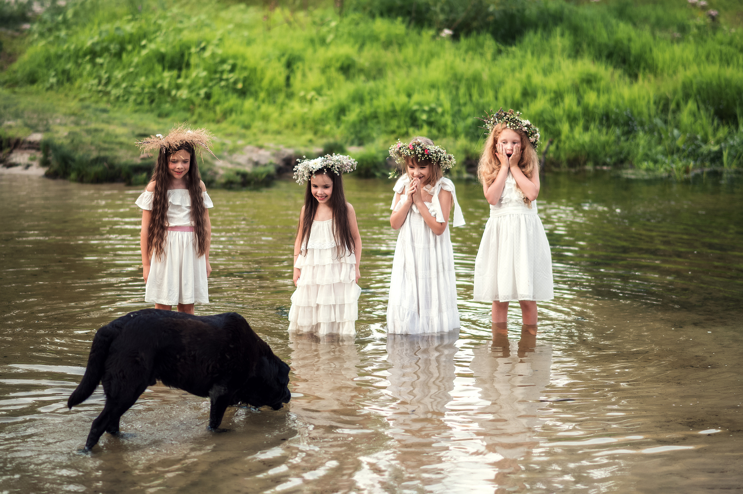 Мавки. Дитячий та сімейний фотограф м.Бровари