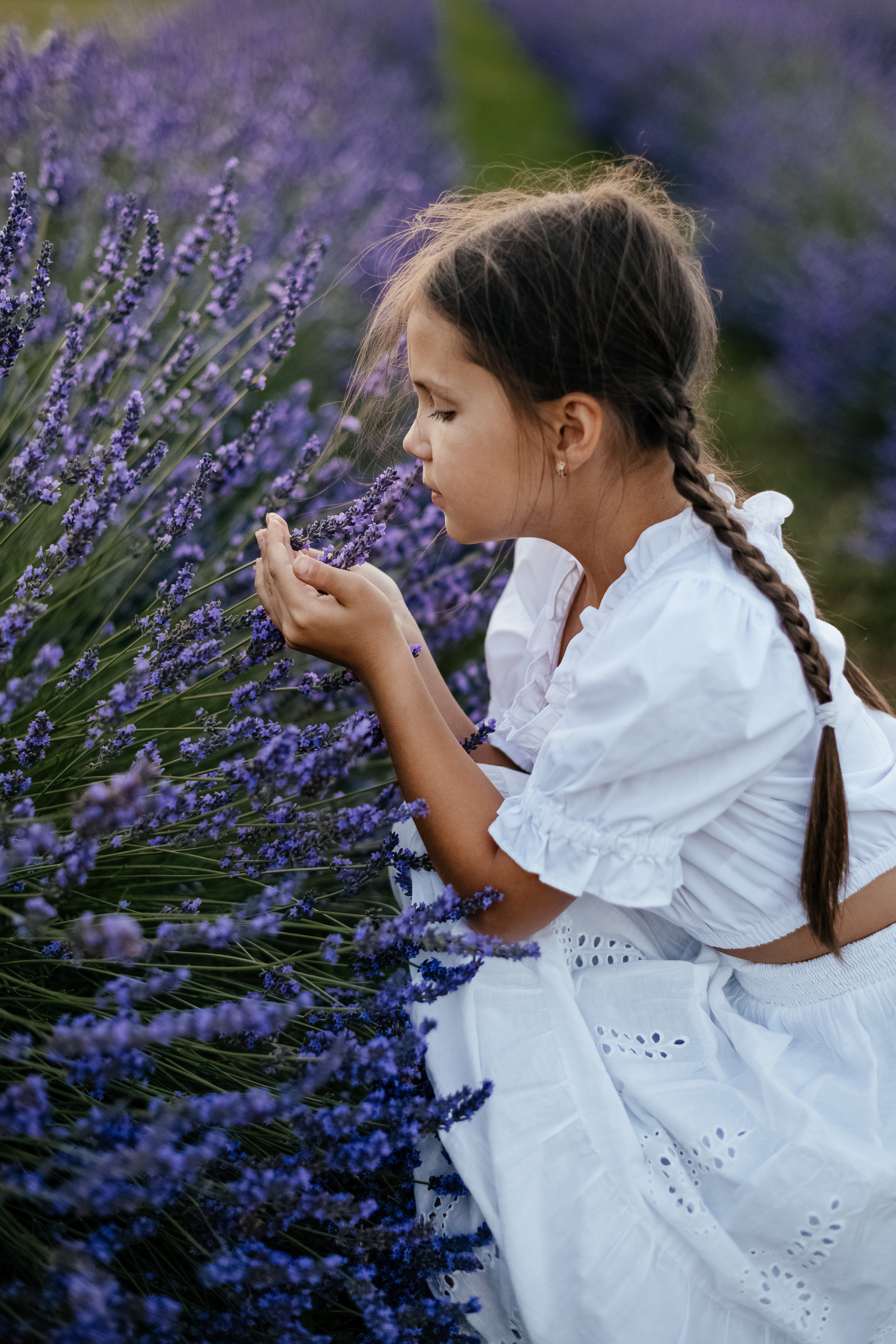 Лаванда 2024. Дитячий та сімейний фотограф м.Бровари