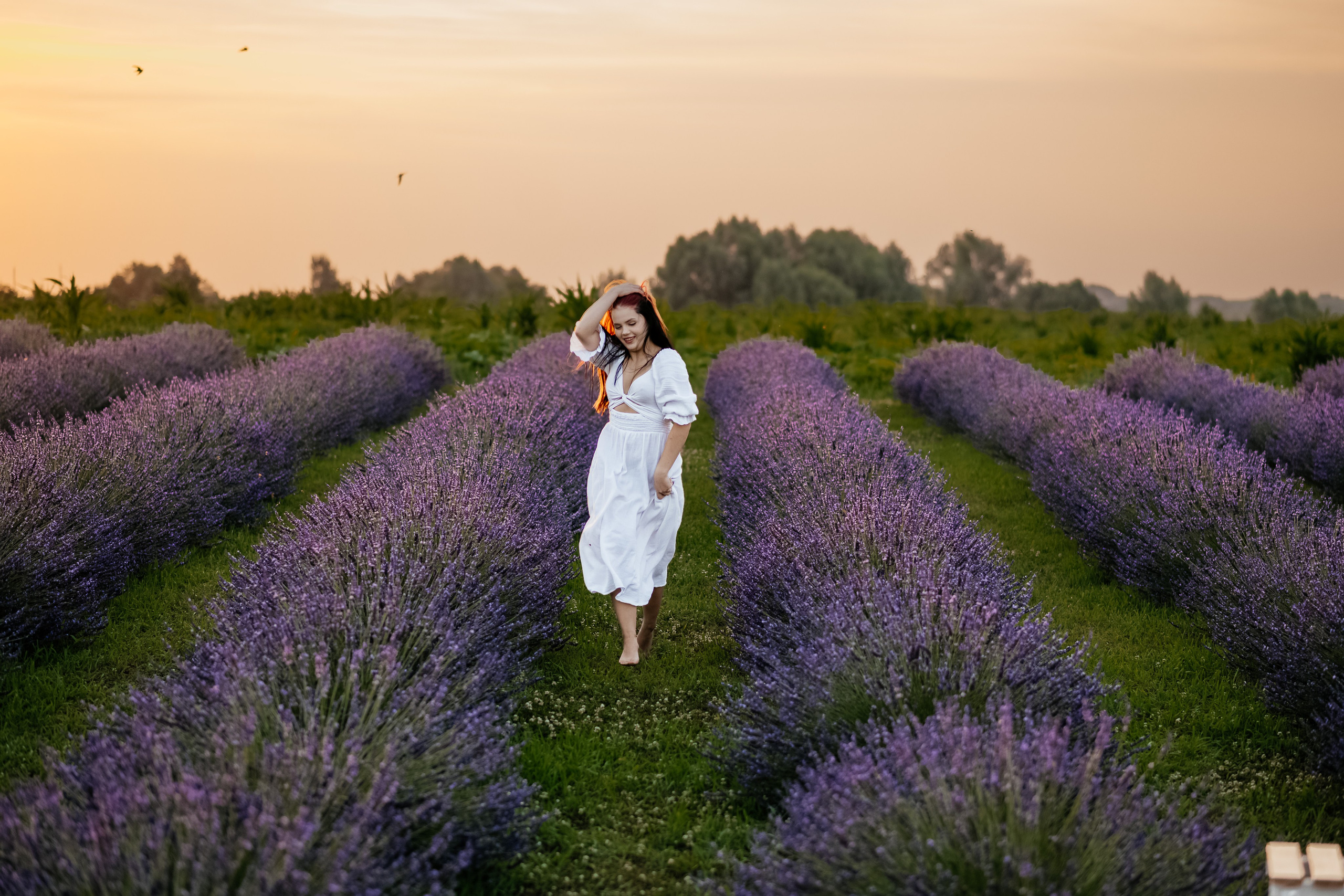 Лаванда 2024. Дитячий та сімейний фотограф м.Бровари