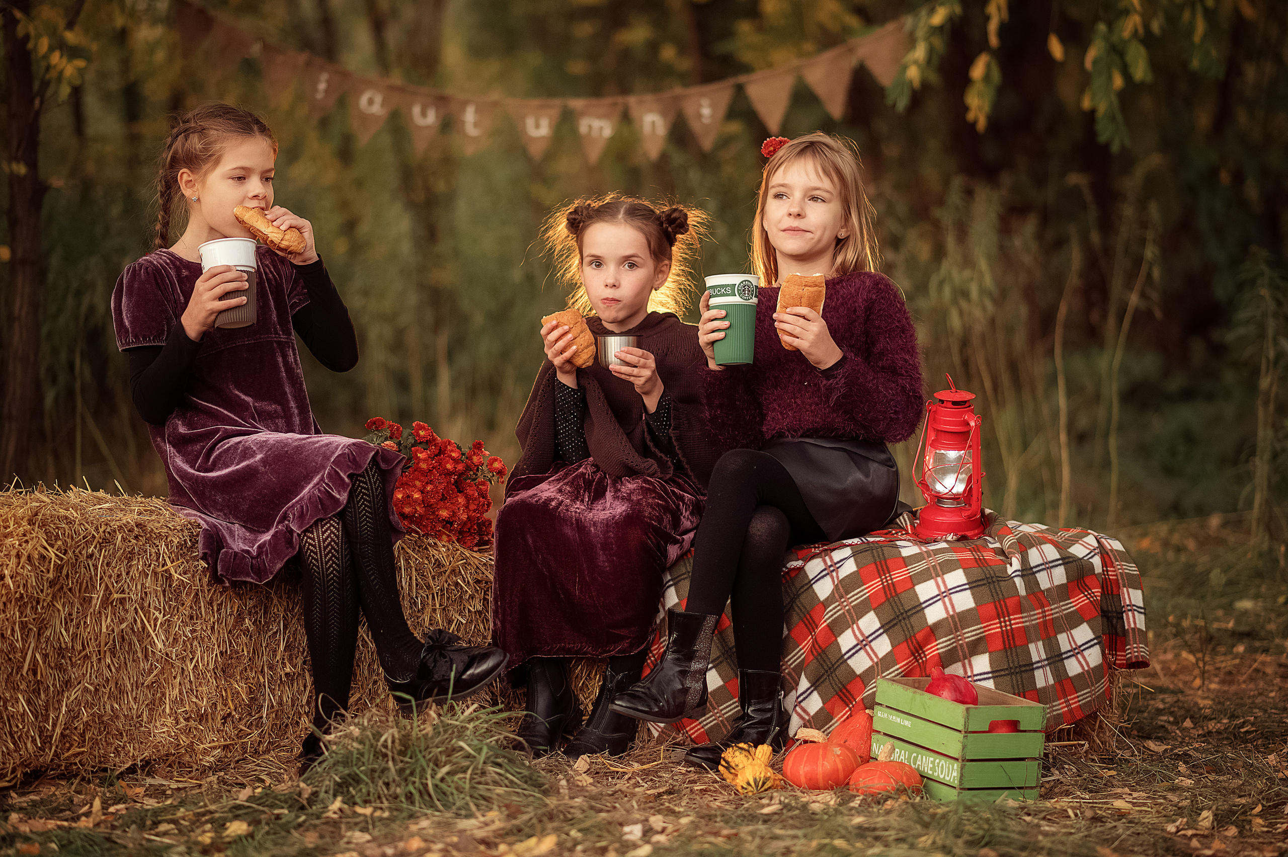 Золота Осінь. Дитячий та сімейний фотограф м.Бровари