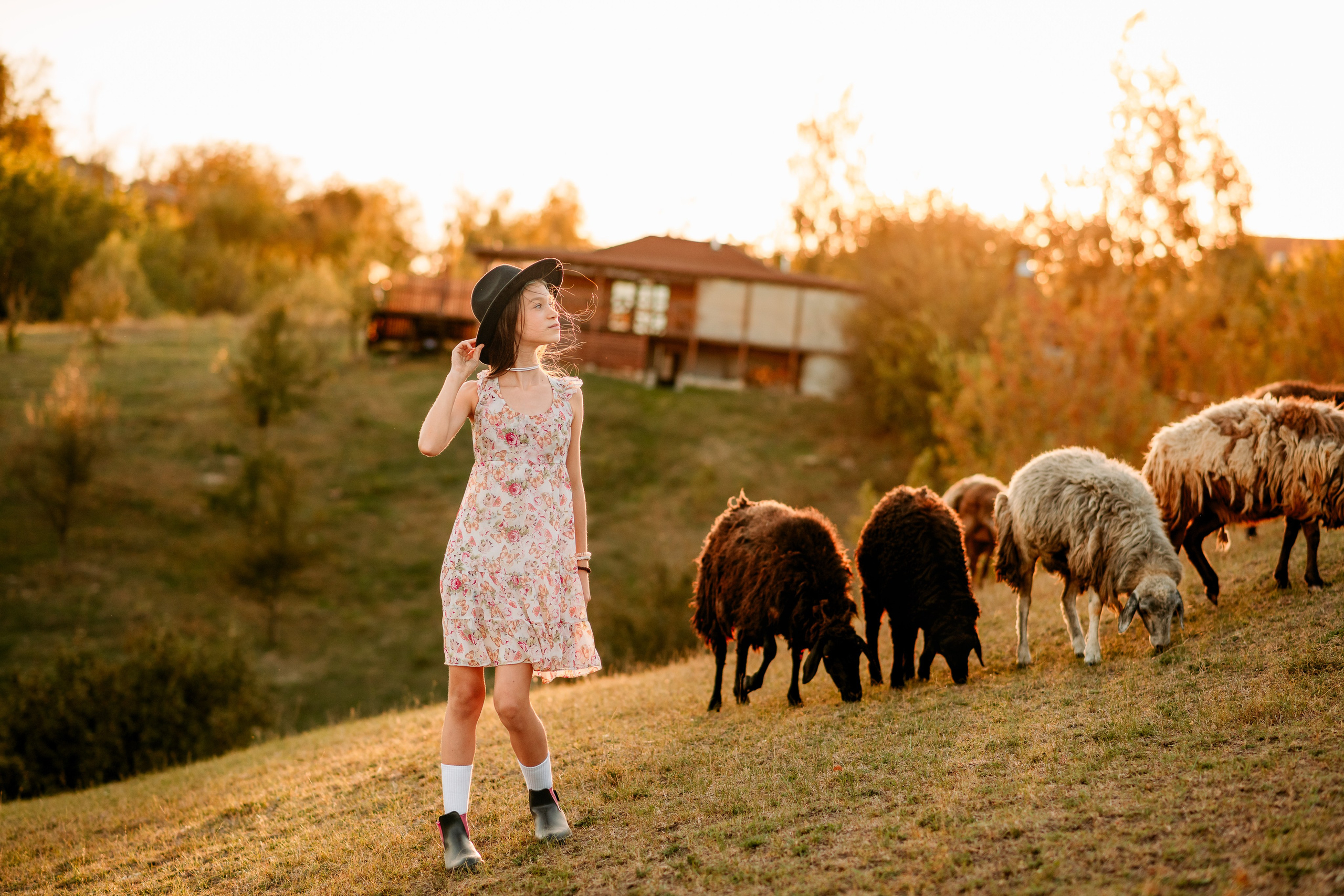 Sheepland. Дитячий та сімейний фотограф м.Бровари