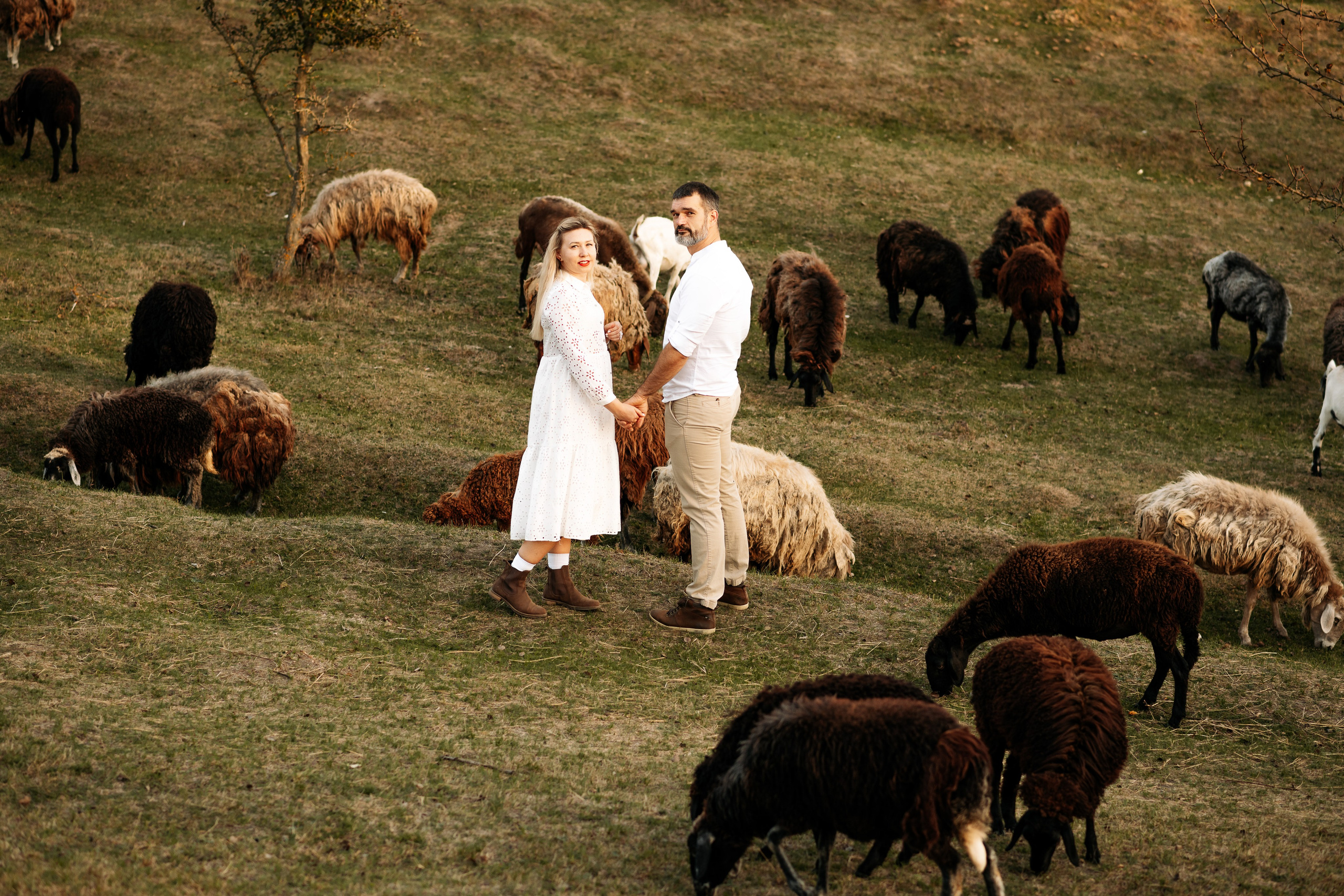 Sheepland. Дитячий та сімейний фотограф м.Бровари