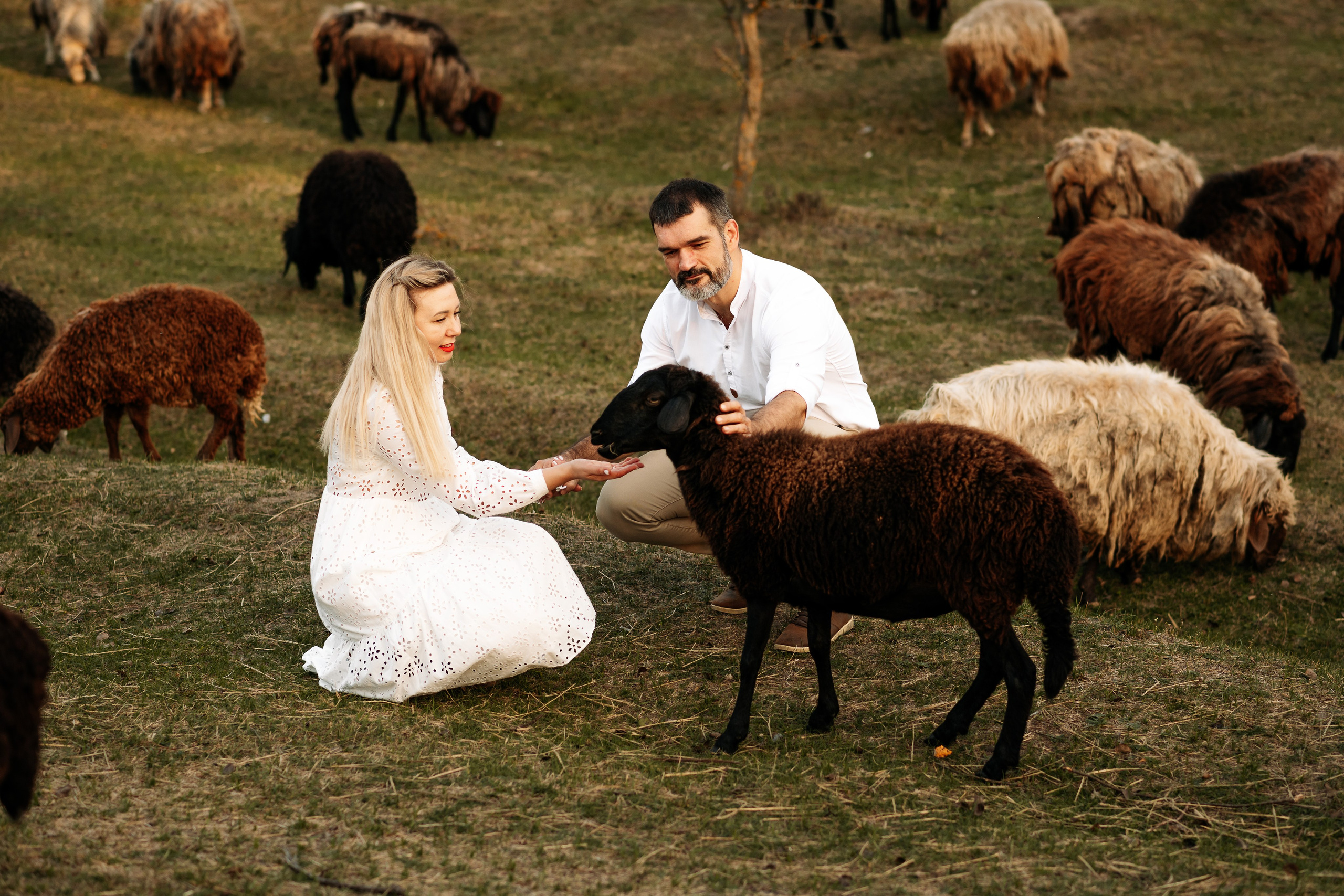 Sheepland. Дитячий та сімейний фотограф м.Бровари