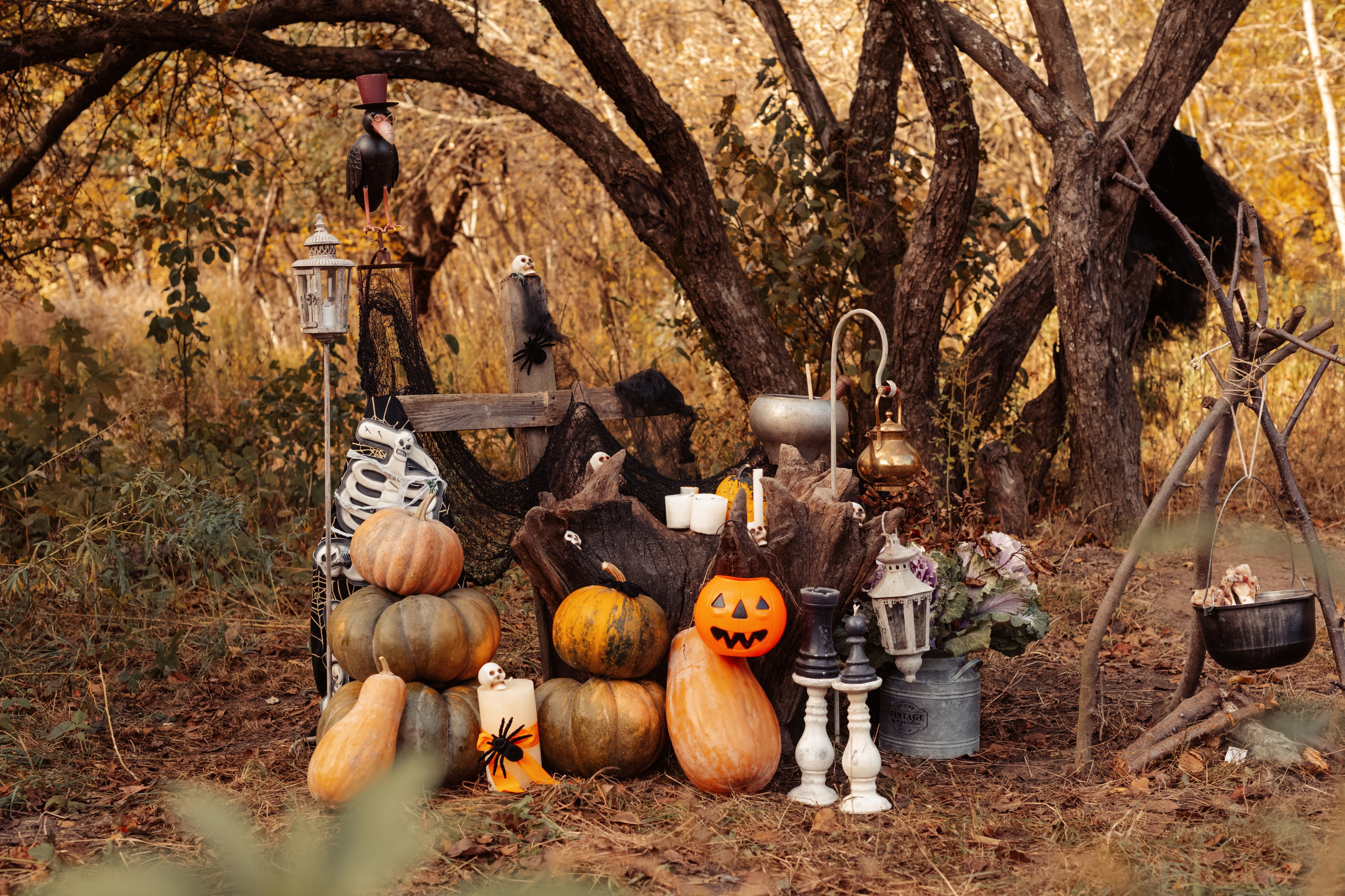 Helloween 2023. Дитячий та сімейний фотограф м.Бровари