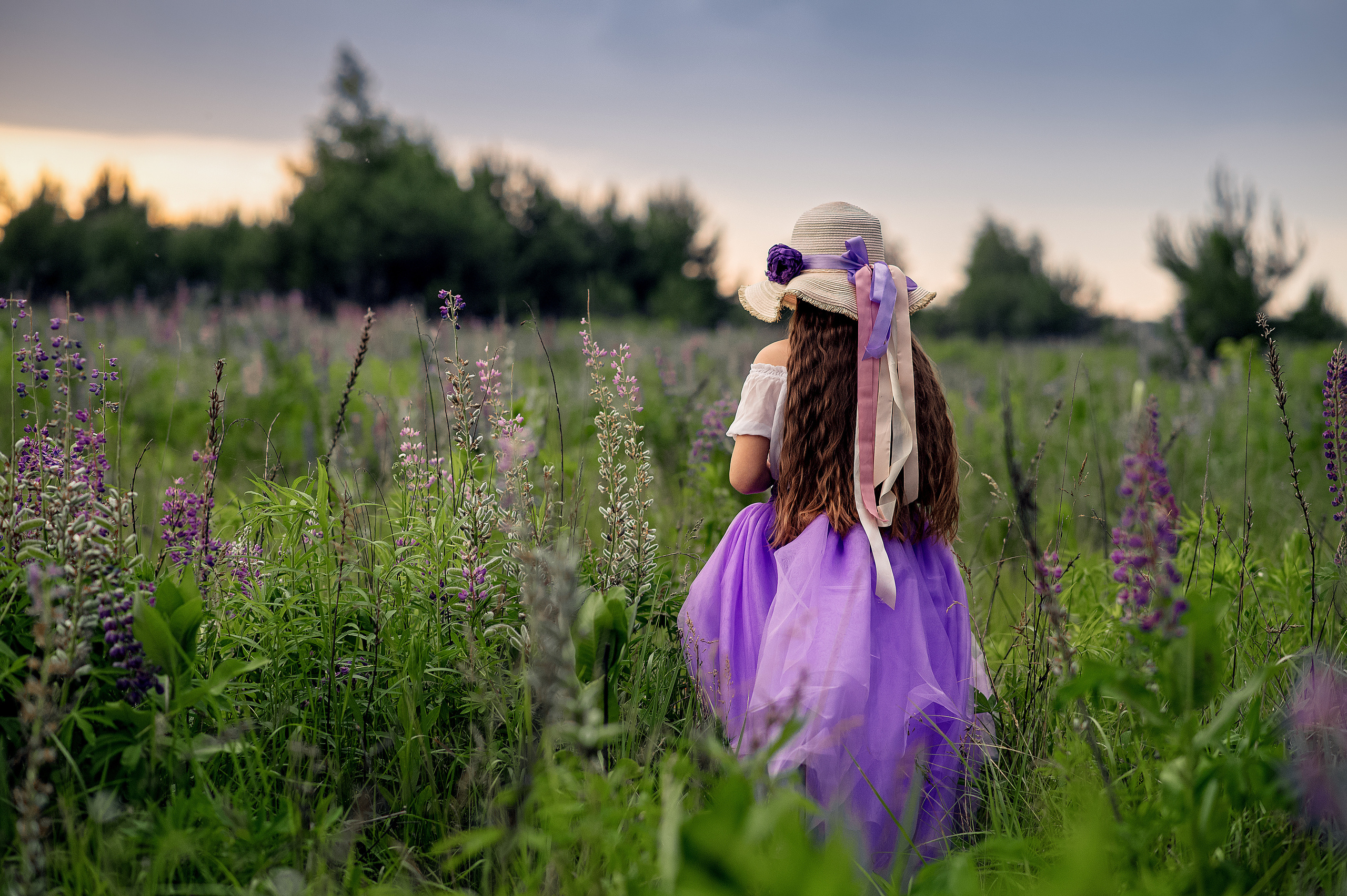 Люпини. Дитячий та сімейний фотограф м.Бровари