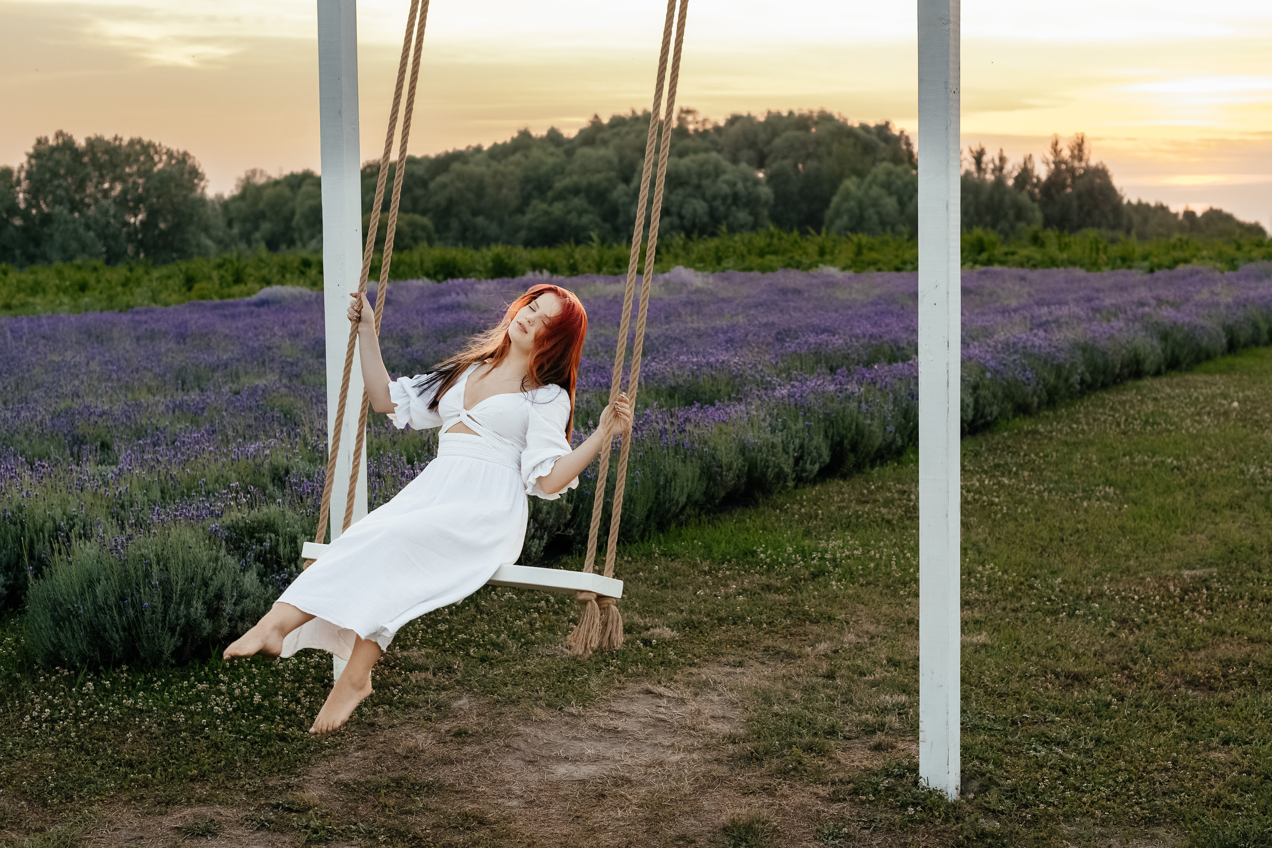 Лаванда 2024. Дитячий та сімейний фотограф м.Бровари