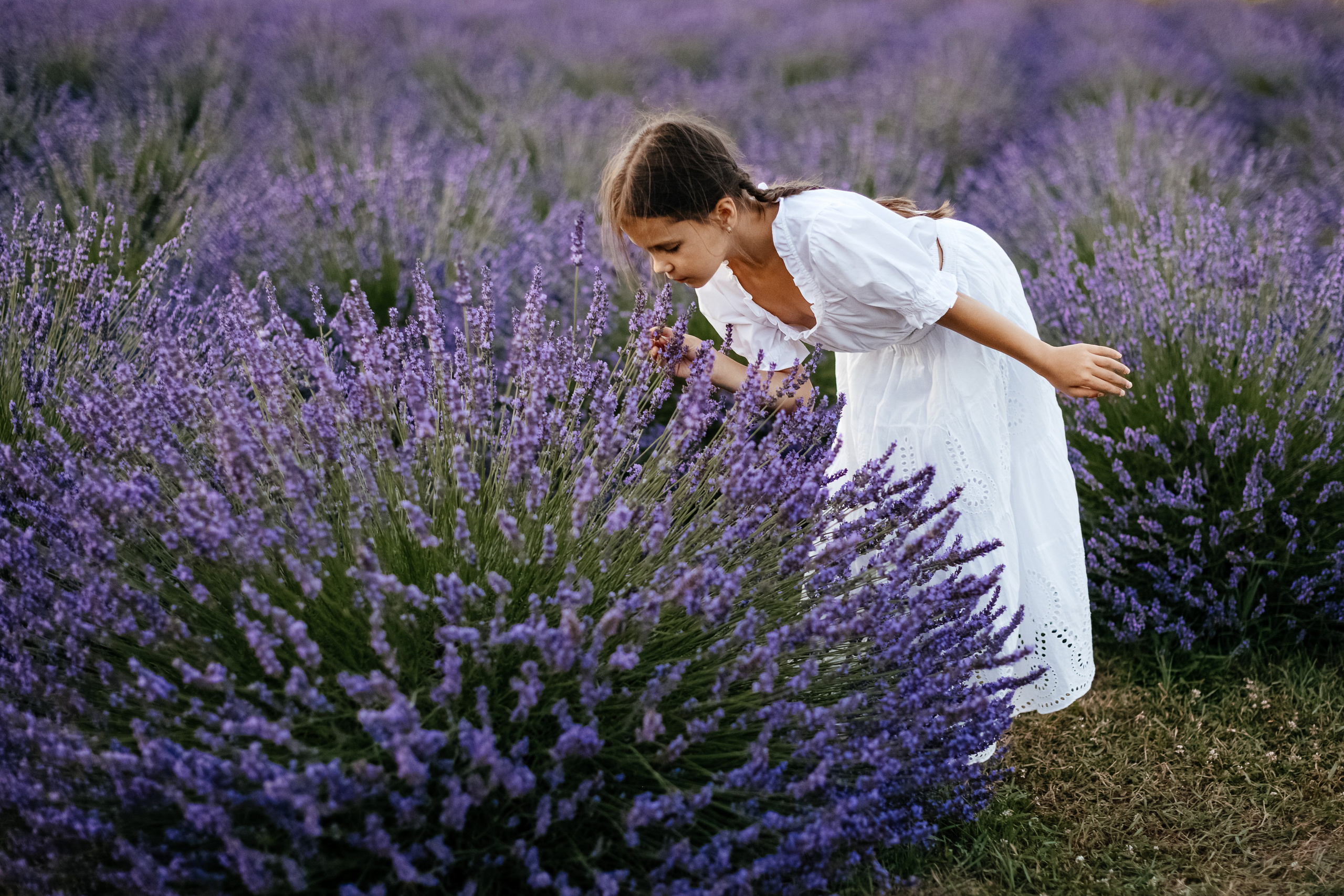 Лаванда 2024. Дитячий та сімейний фотограф м.Бровари