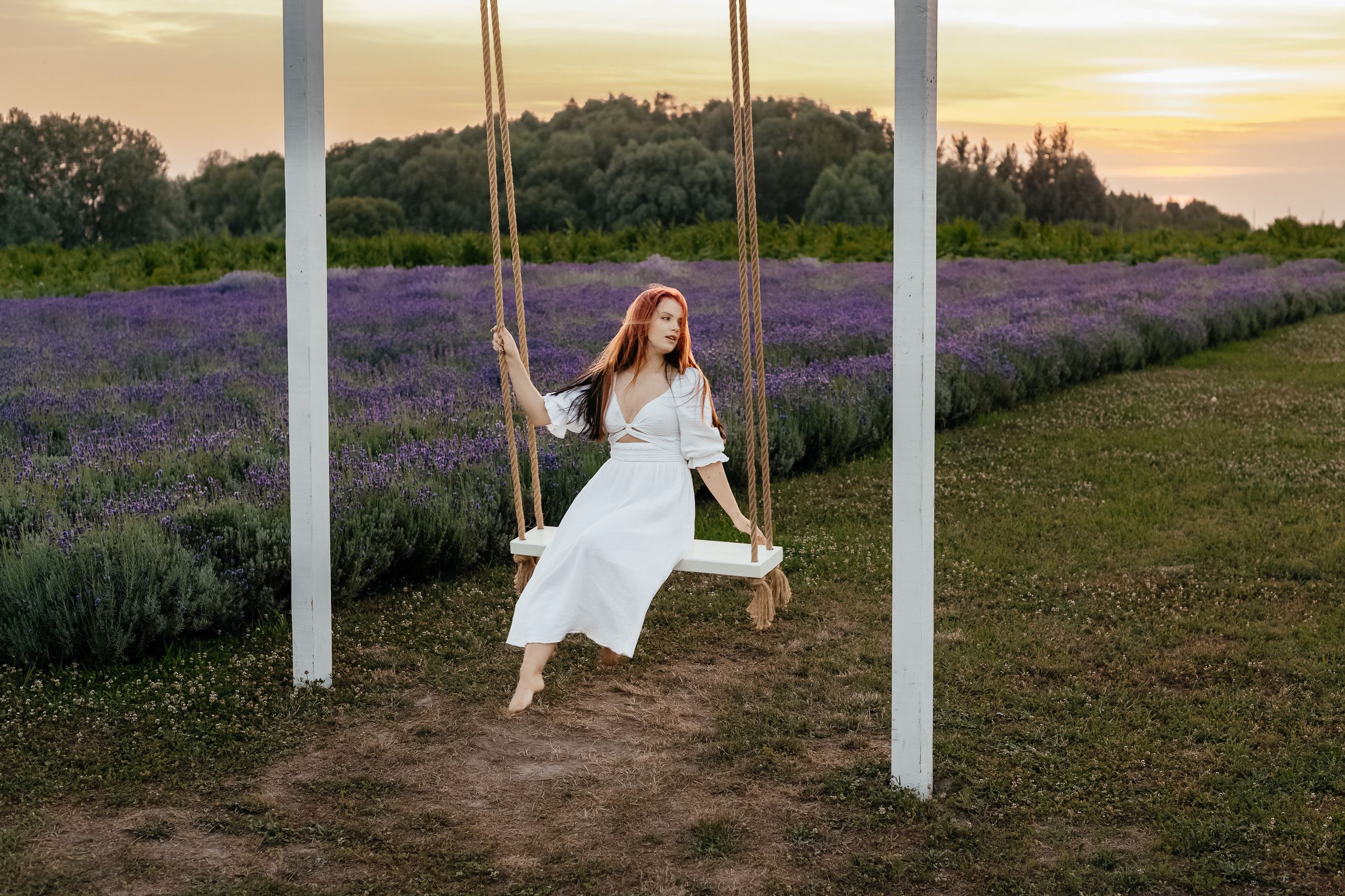 Лаванда 2024. Дитячий та сімейний фотограф м.Бровари