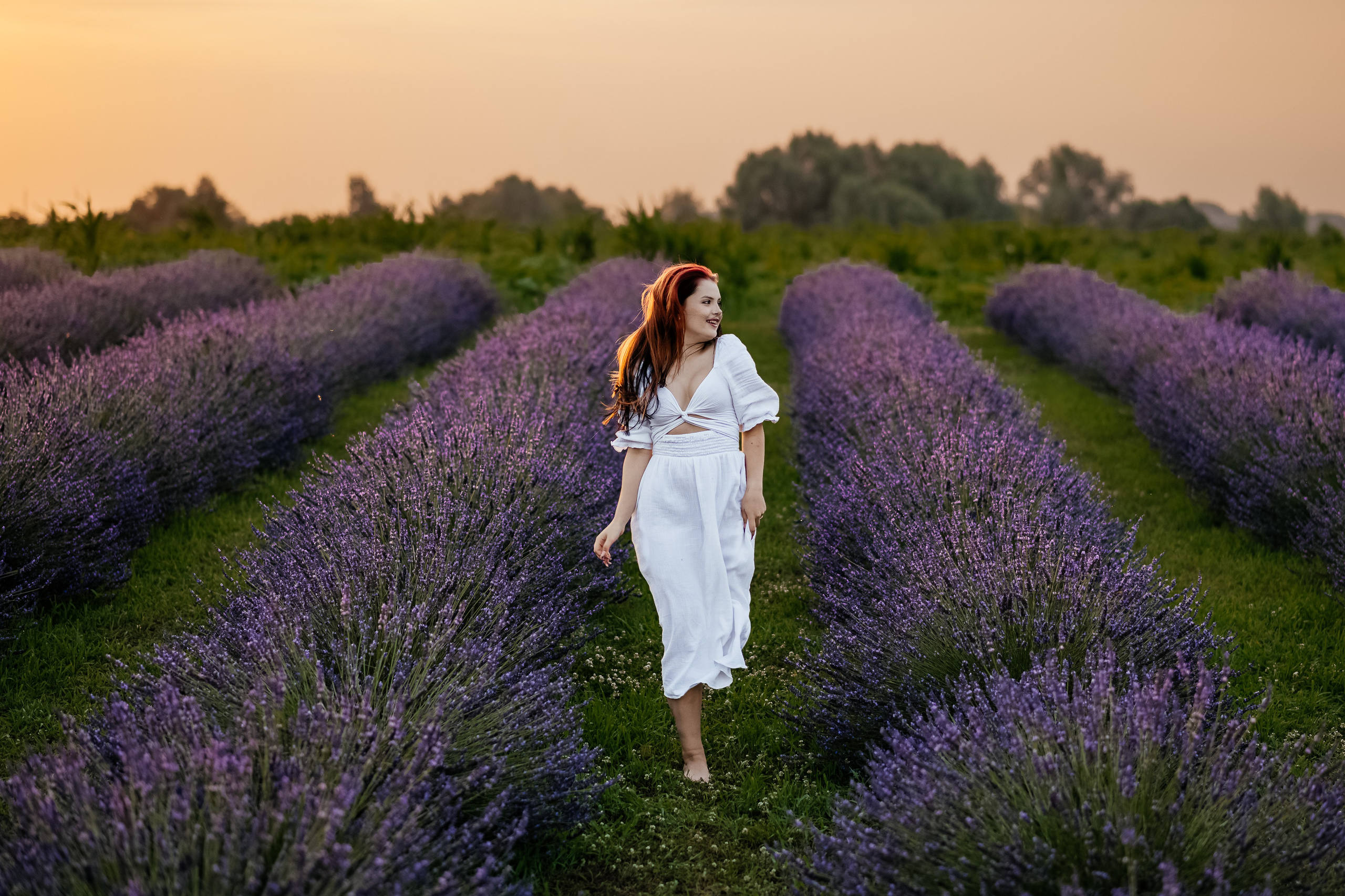 Лаванда 2024. Дитячий та сімейний фотограф м.Бровари