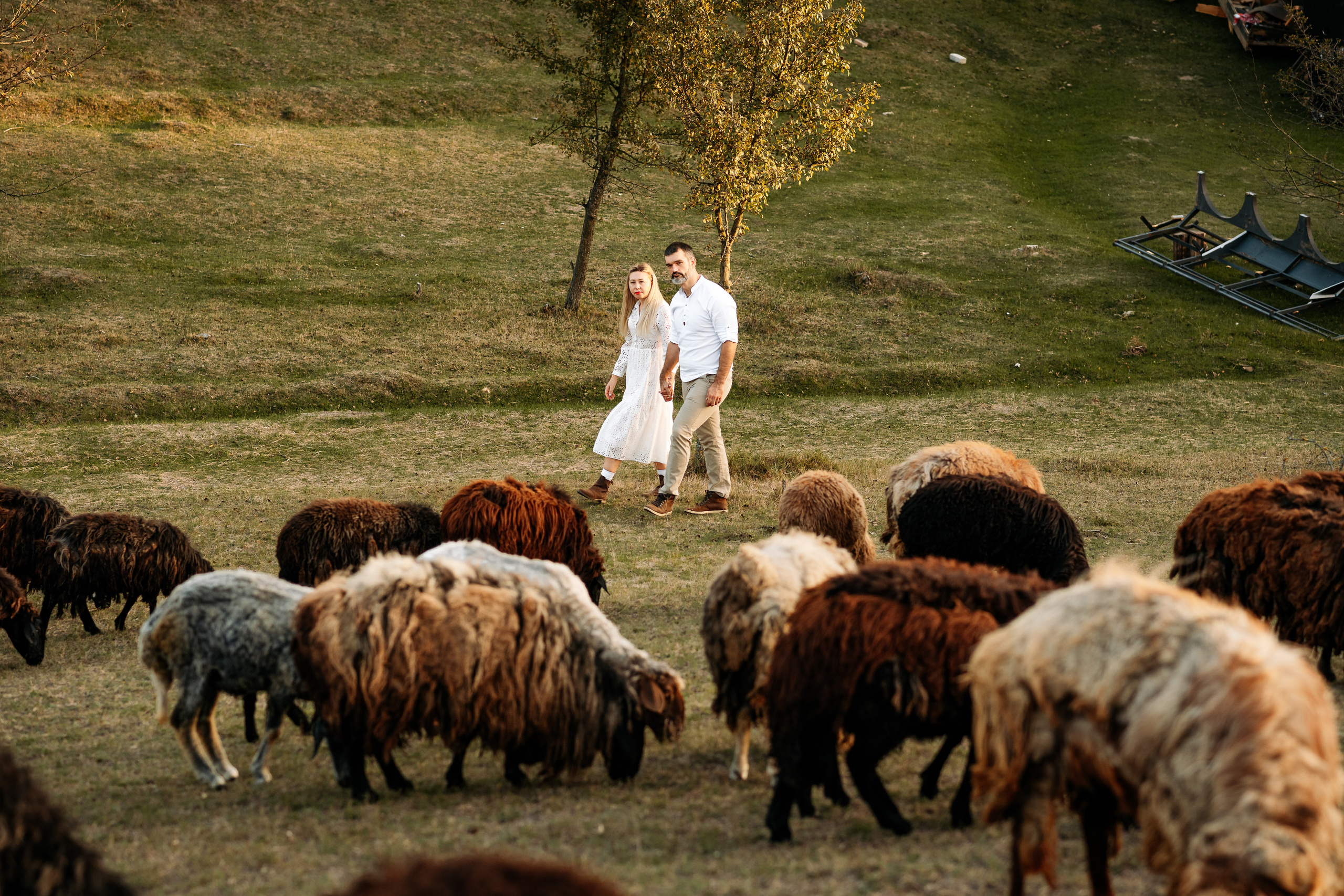 Sheepland. Дитячий та сімейний фотограф м.Бровари