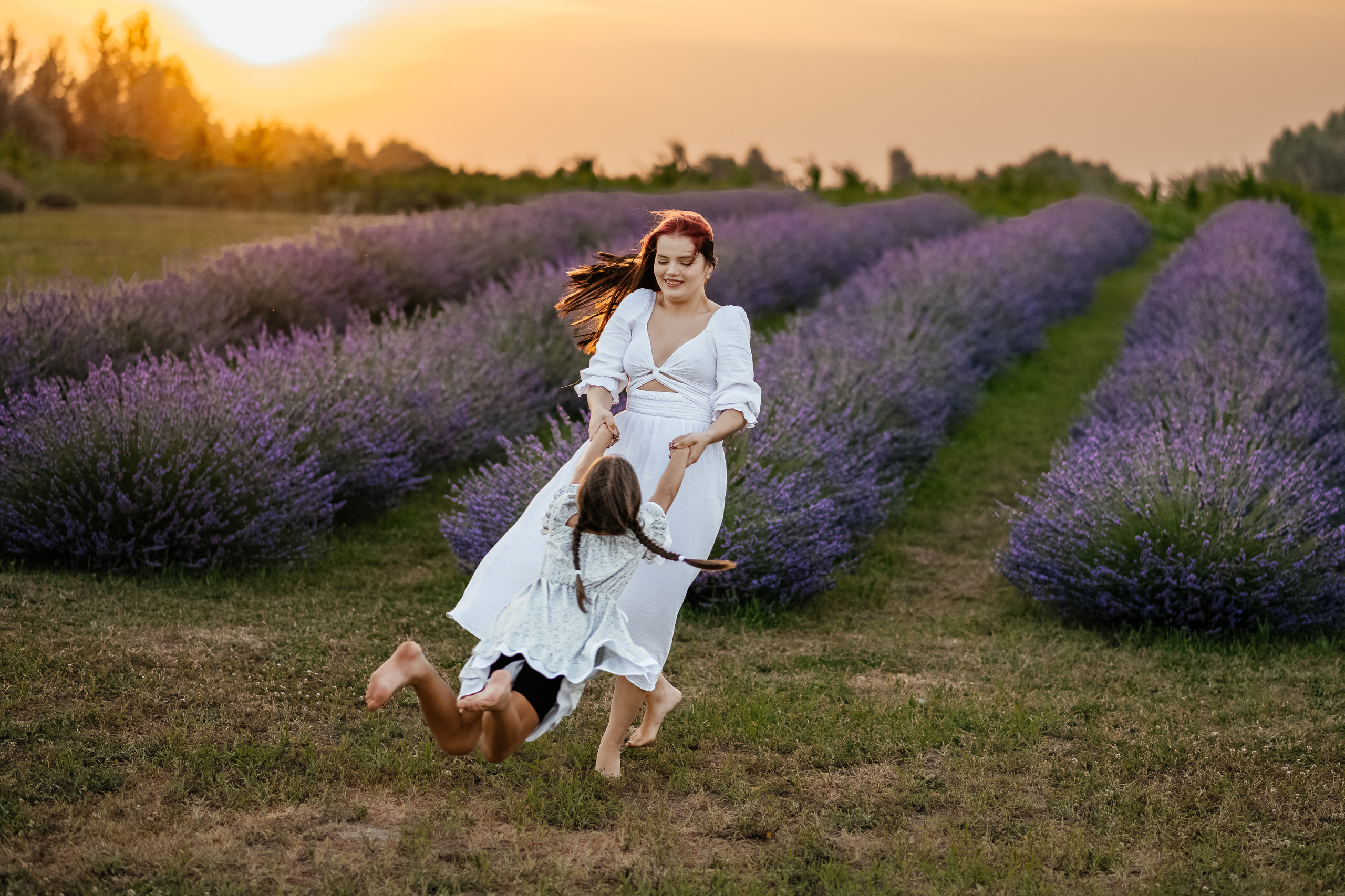 Лаванда 2024. Дитячий та сімейний фотограф м.Бровари