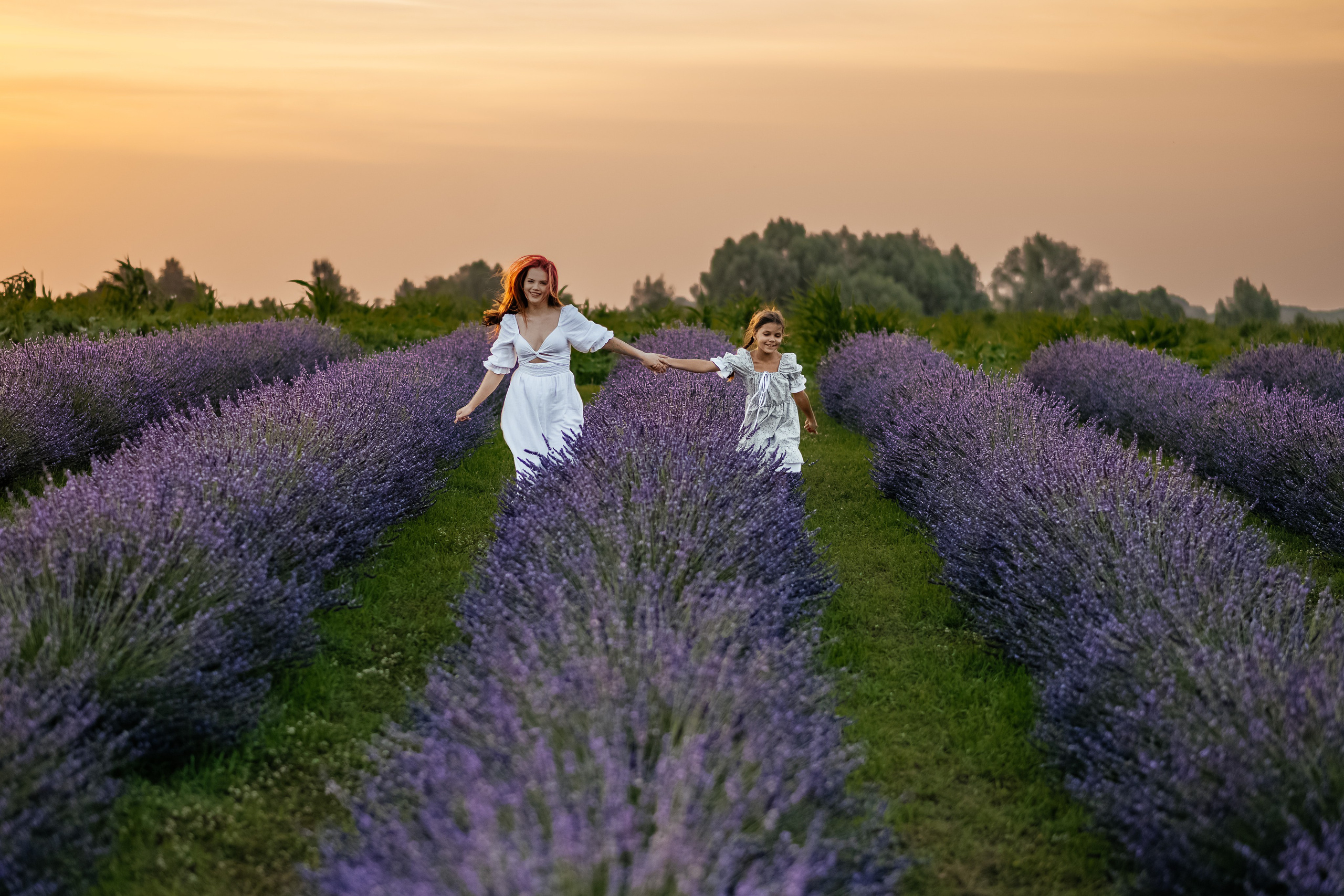 Лаванда 2024. Дитячий та сімейний фотограф м.Бровари