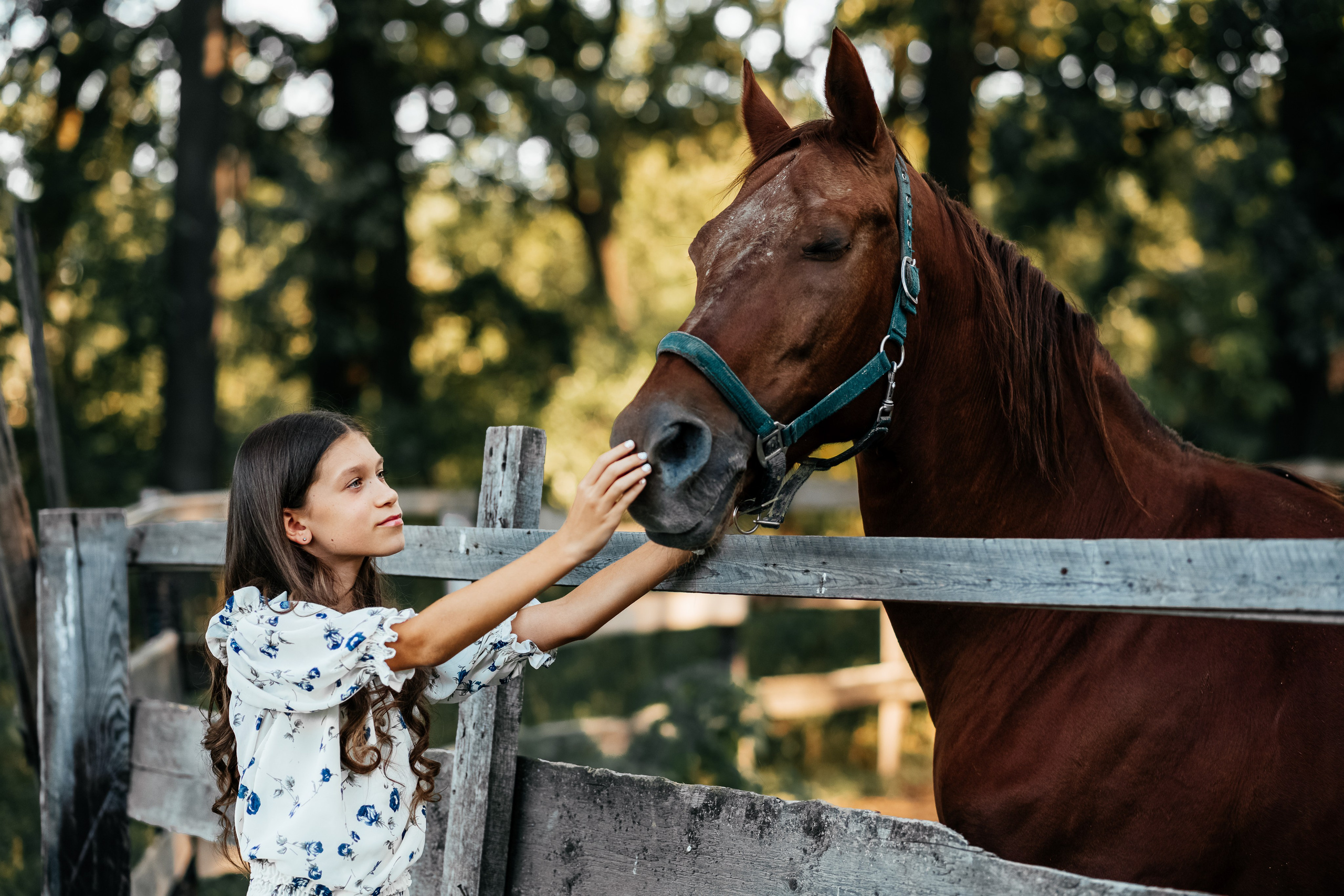 Гармонія з природою: зйомка на конюшні. Дитячий та сімейний фотограф м.Бровари