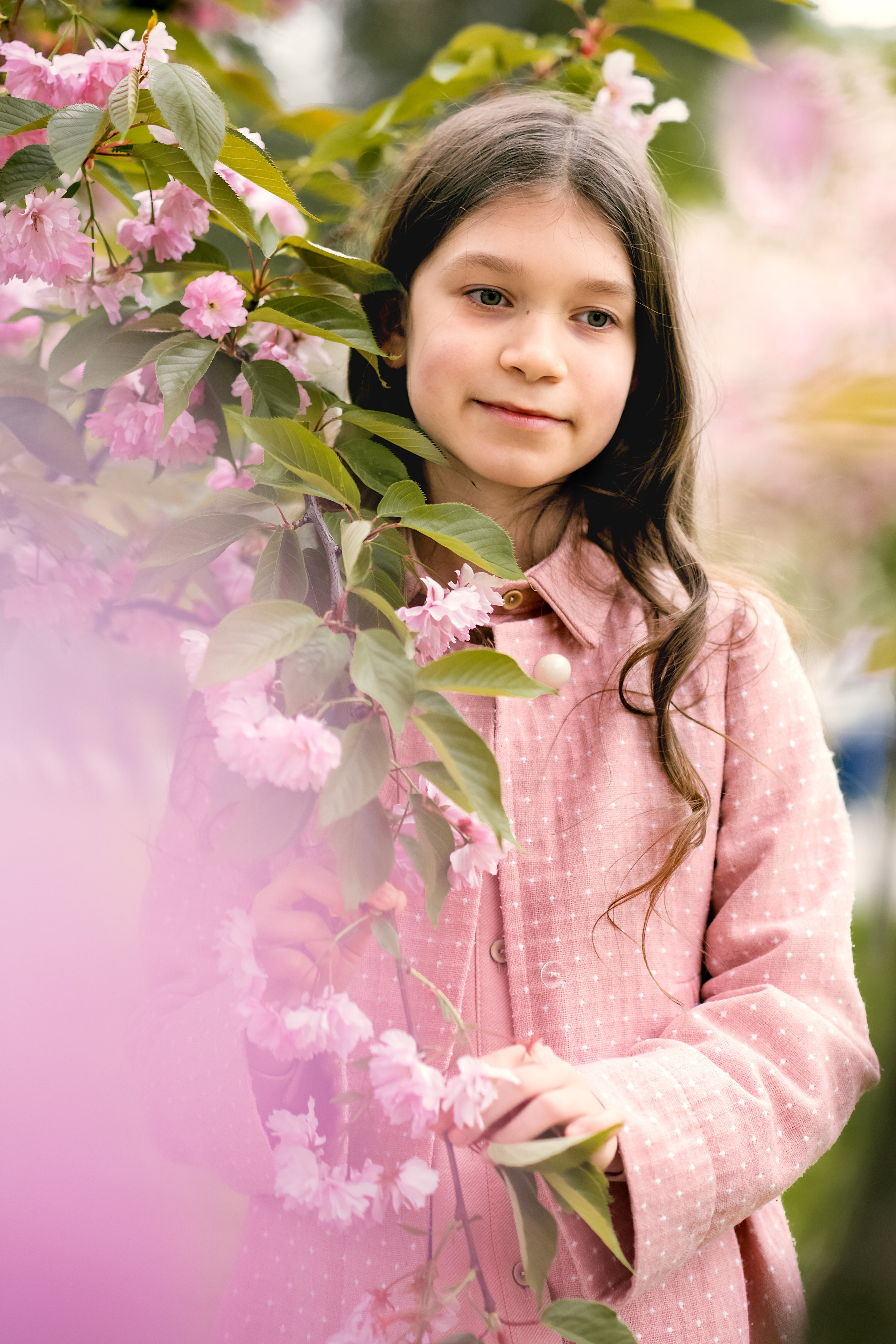 Сакура 2023. Дитячий та сімейний фотограф м.Бровари