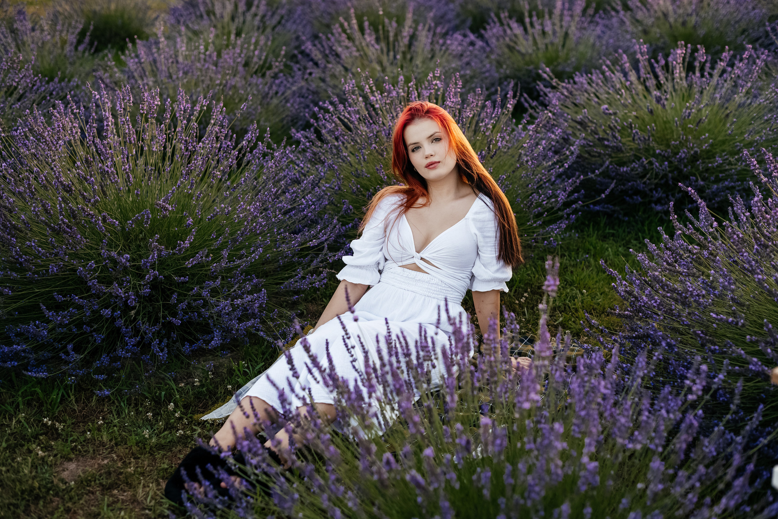 Лаванда 2024. Дитячий та сімейний фотограф м.Бровари