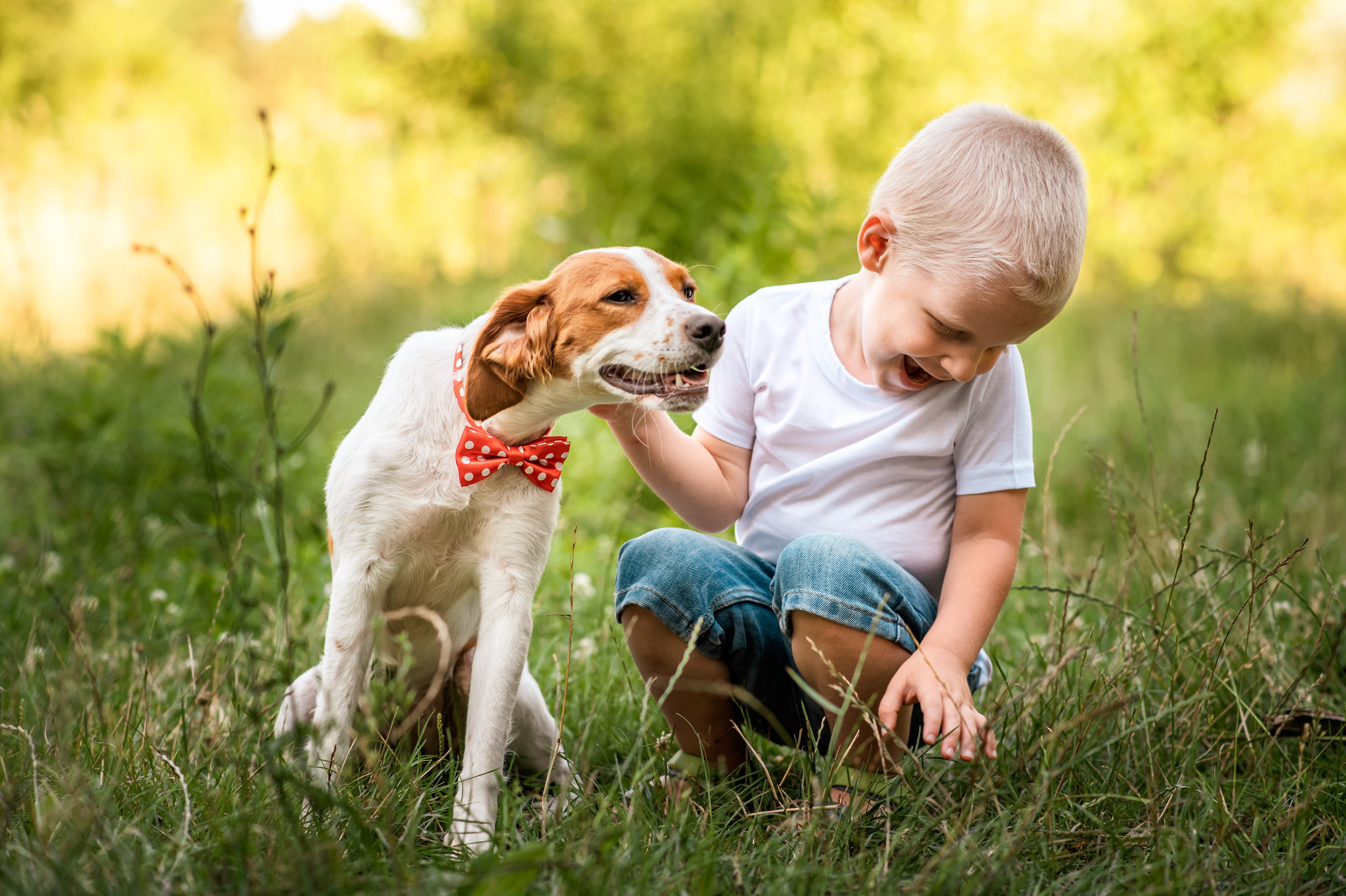Літо 2021. Дитячий та сімейний фотограф м.Бровари