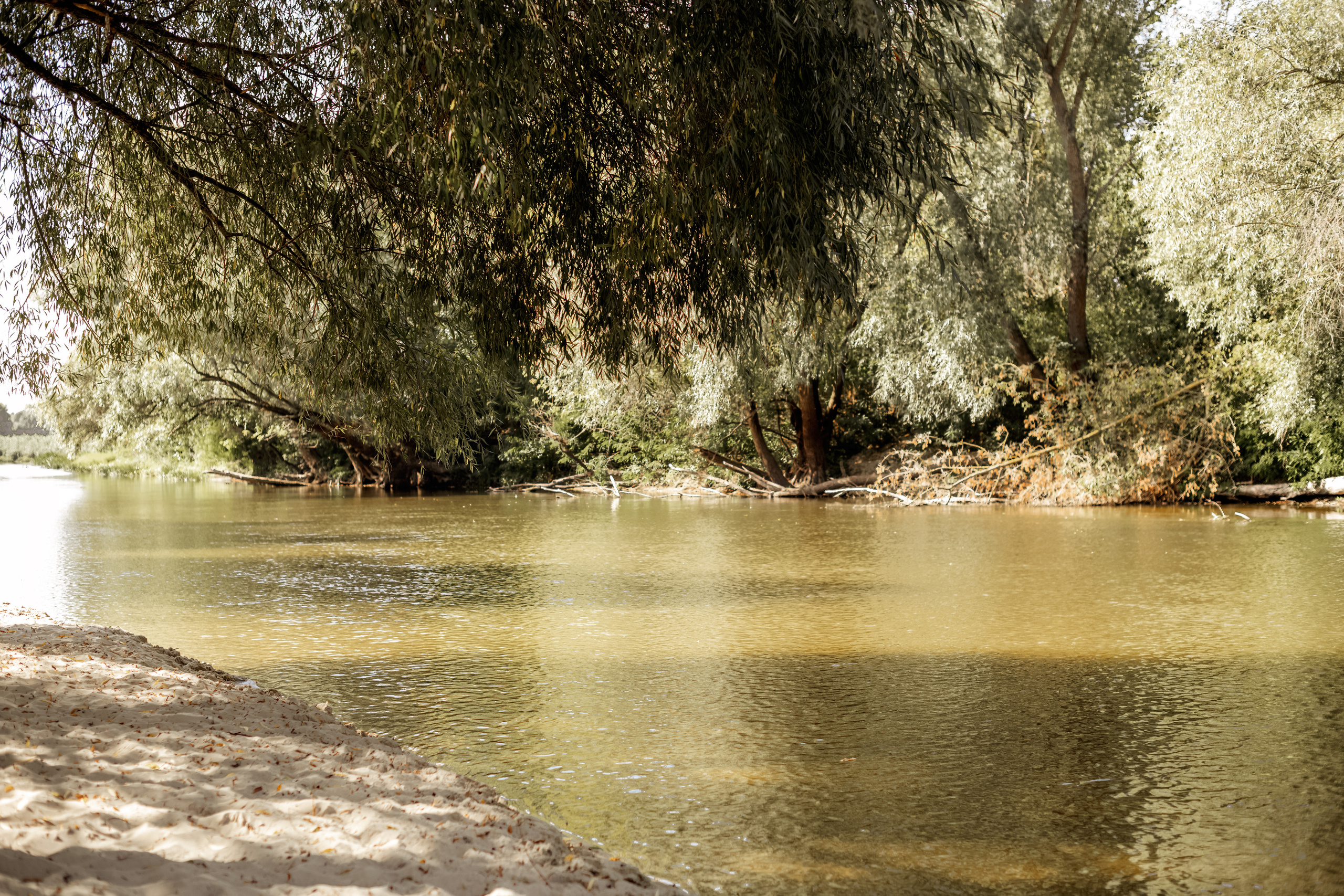 Ельф. Дитячий та сімейний фотограф м.Бровари