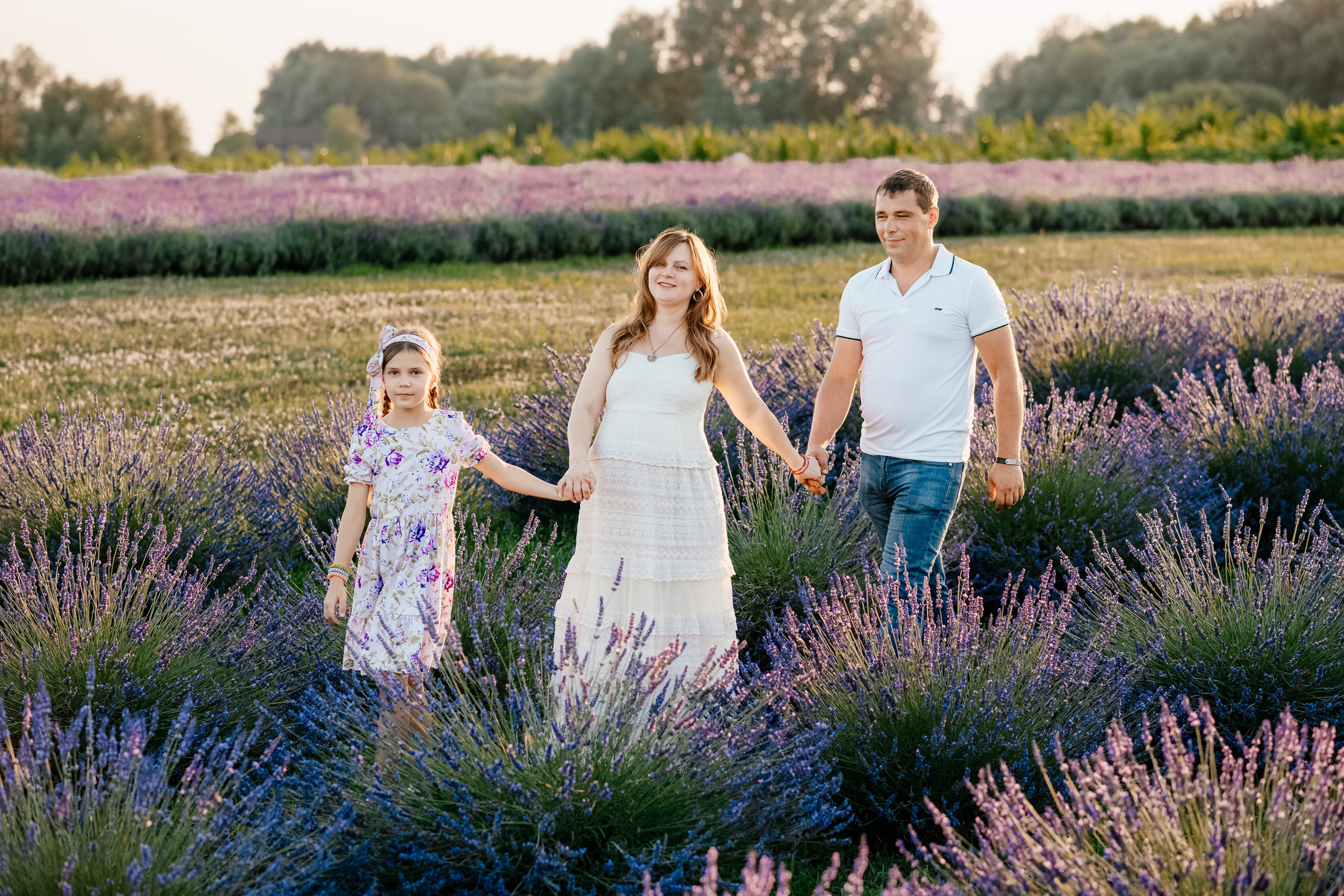 Лаванда 2024. Дитячий та сімейний фотограф м.Бровари