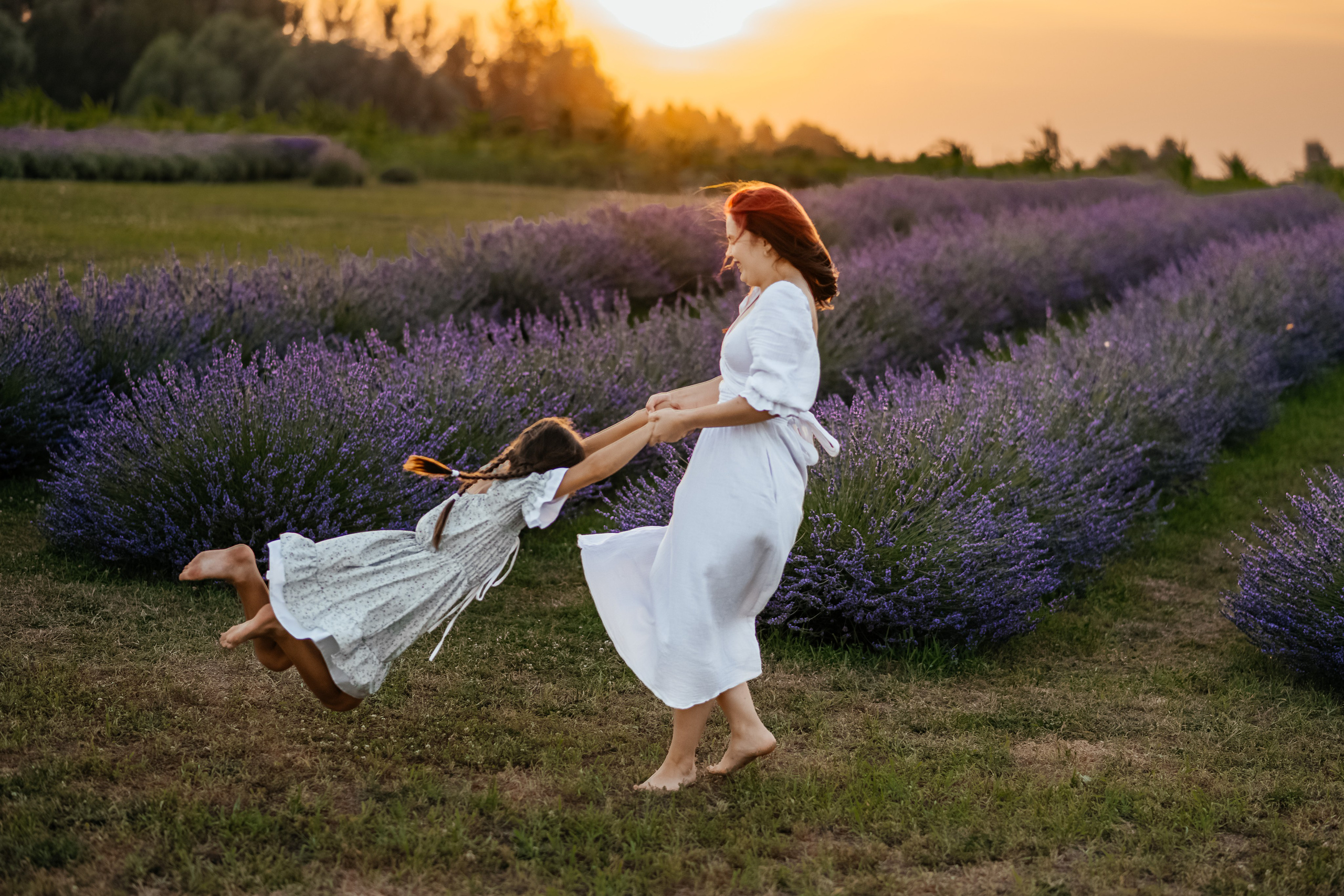 Лаванда 2024. Дитячий та сімейний фотограф м.Бровари