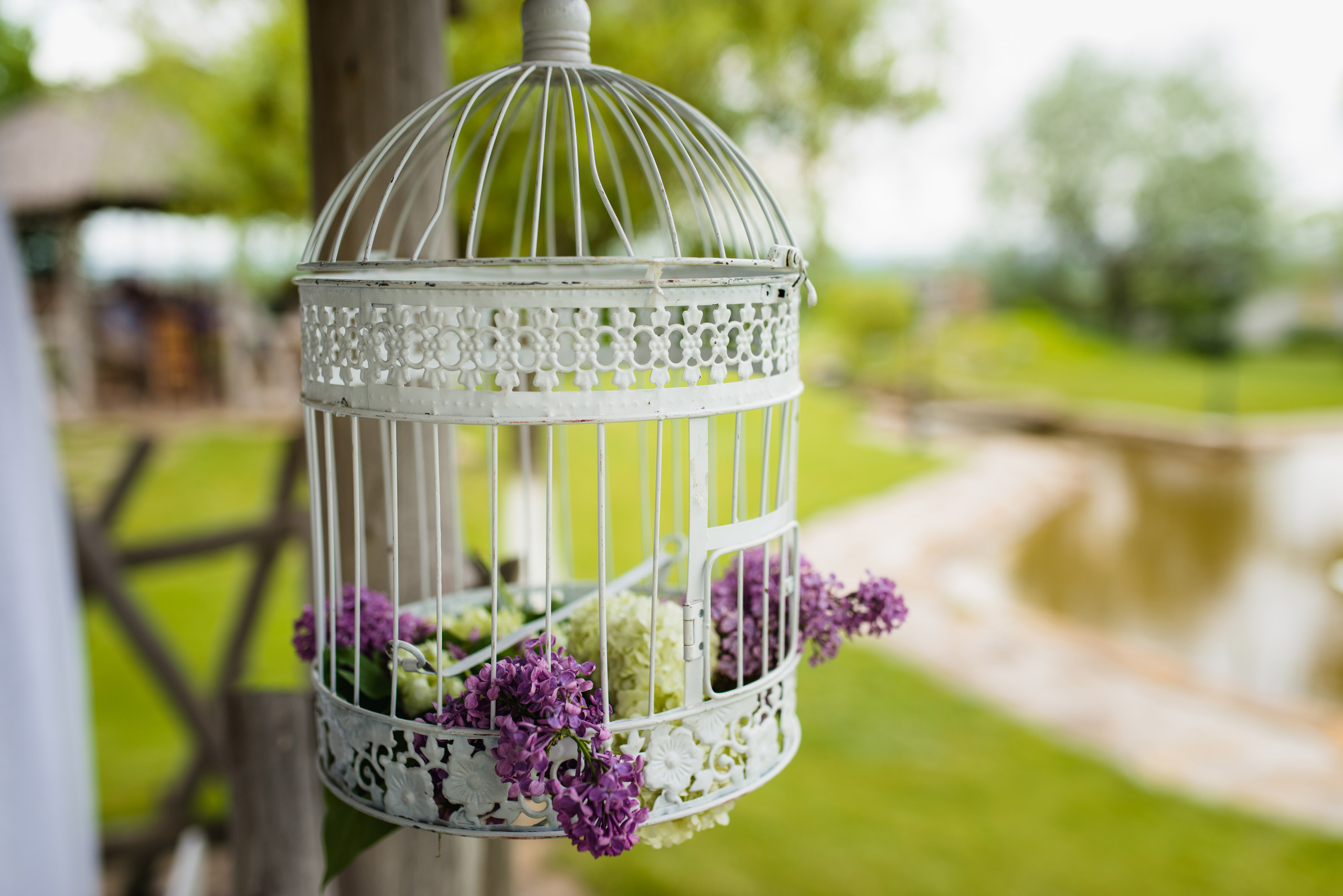 Фотограф у Дніпрі: весільна зйомка. Фотограф Дніпро