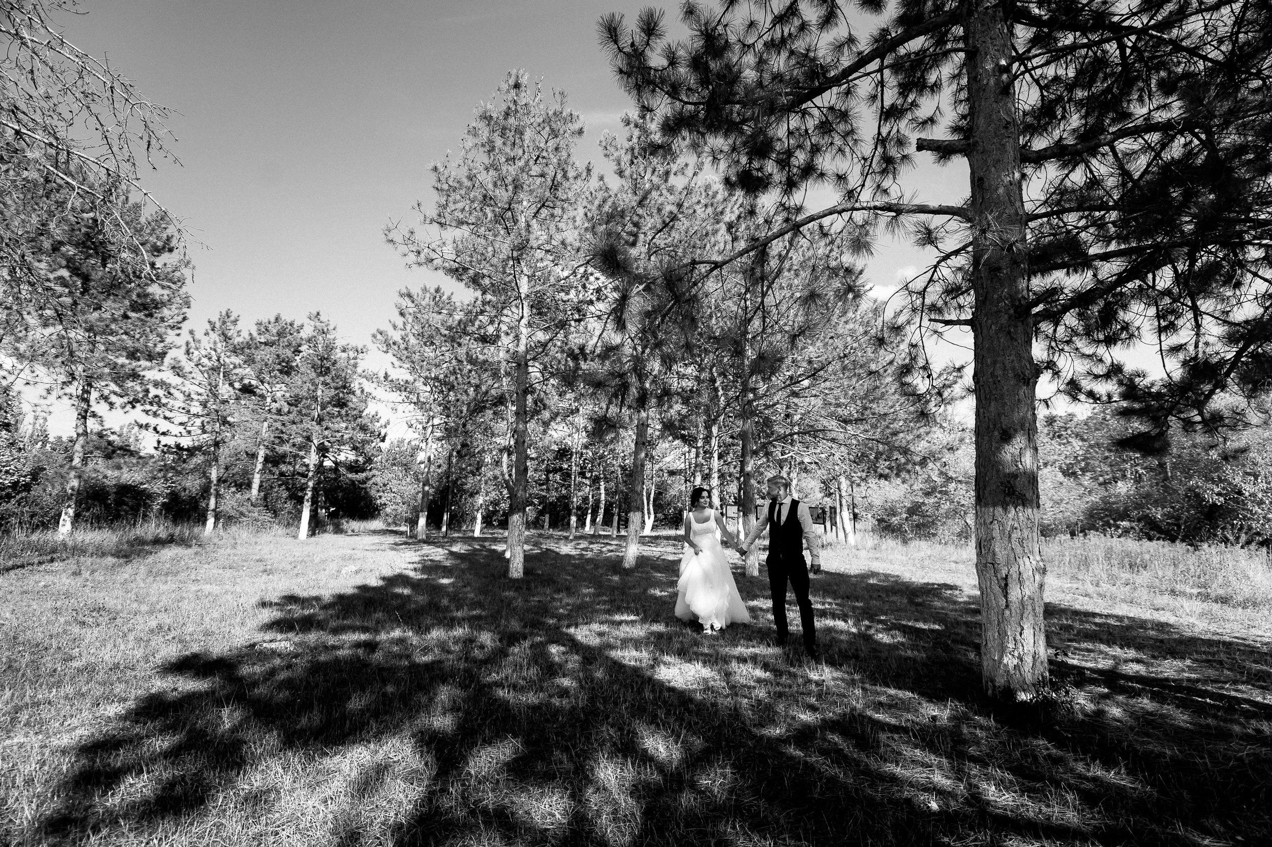 Marin & Doina. Fotograf de nunta Ion Cobzac