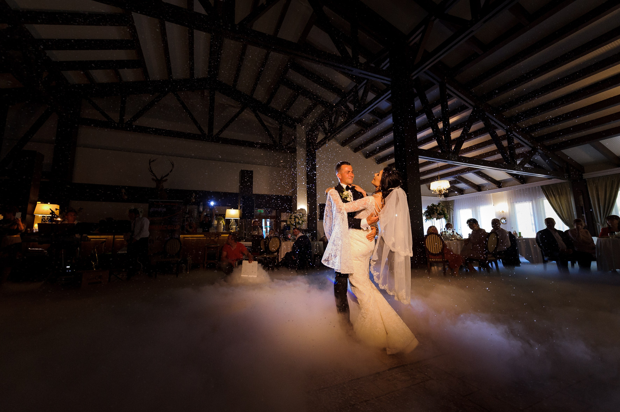 Dansul mirilor Ion cobzac