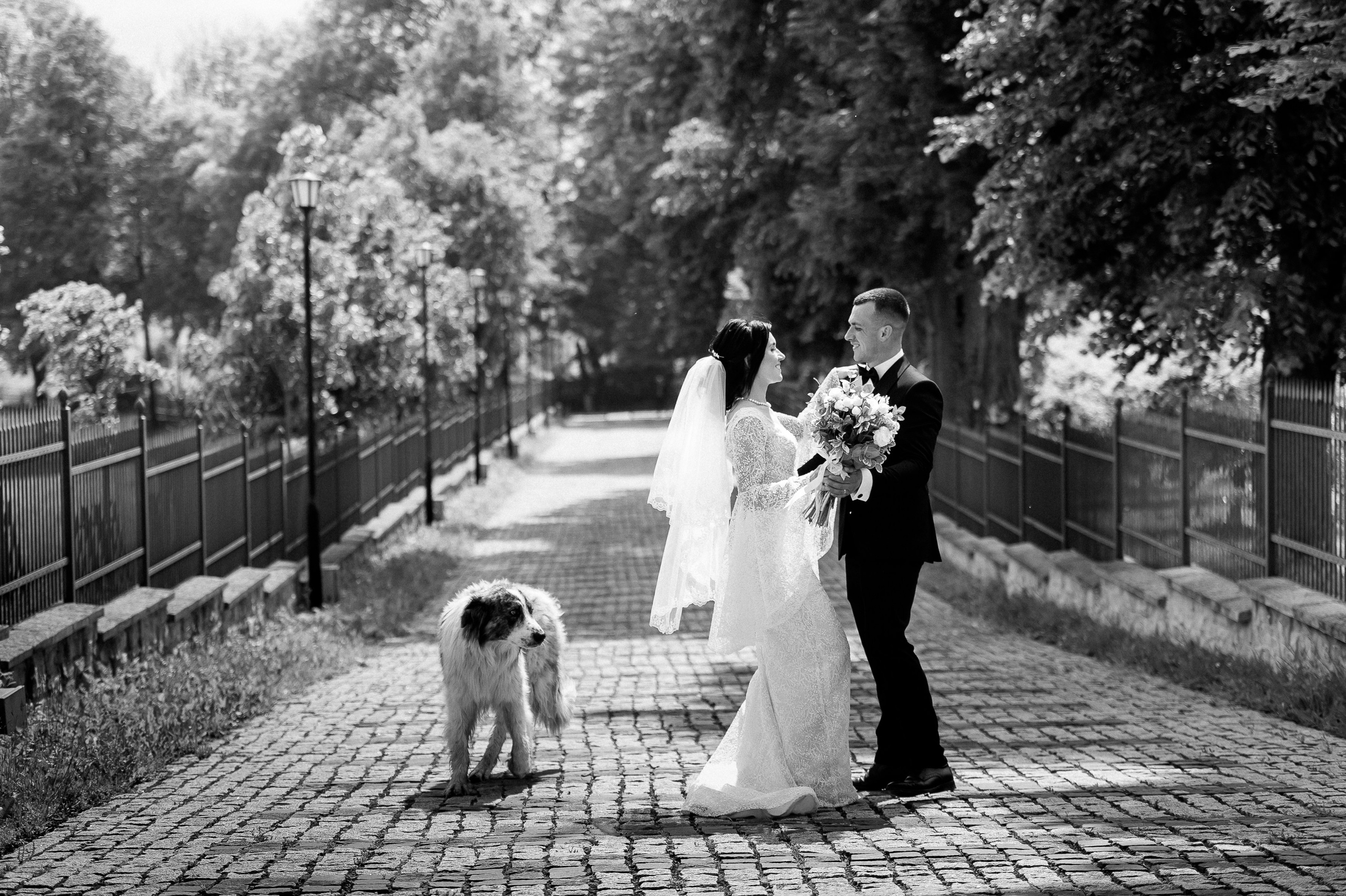 Ovidiu & Mgdalena (Suceava). Fotograf de nunta Ion Cobzac