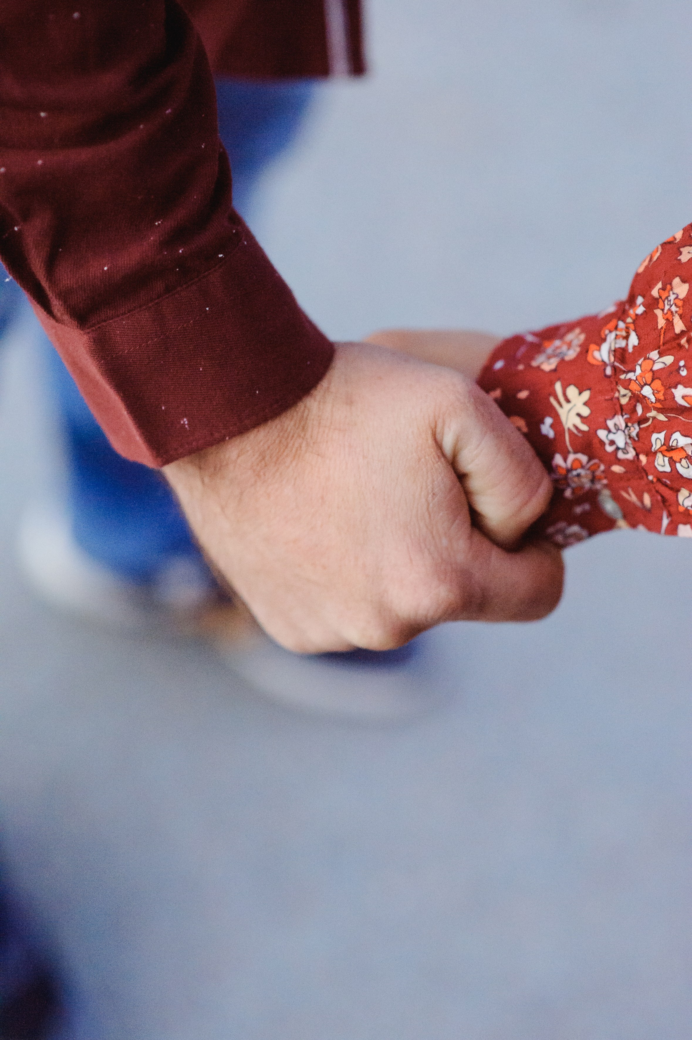 Fam. Lupu (Lion). Fotograf de nunta Ion Cobzac