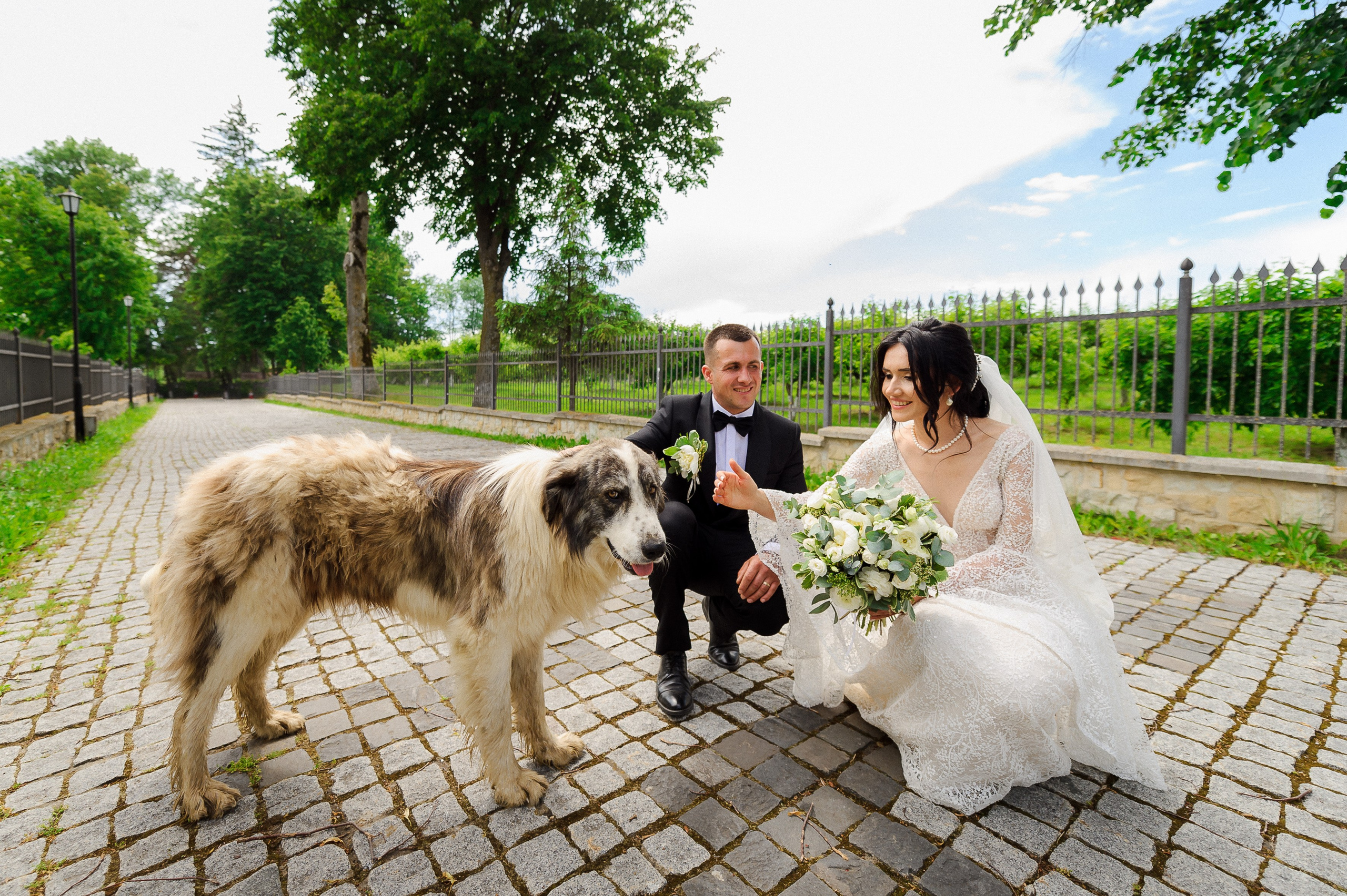 Ovidiu & Mgdalena (Suceava). Fotograf de nunta Ion Cobzac